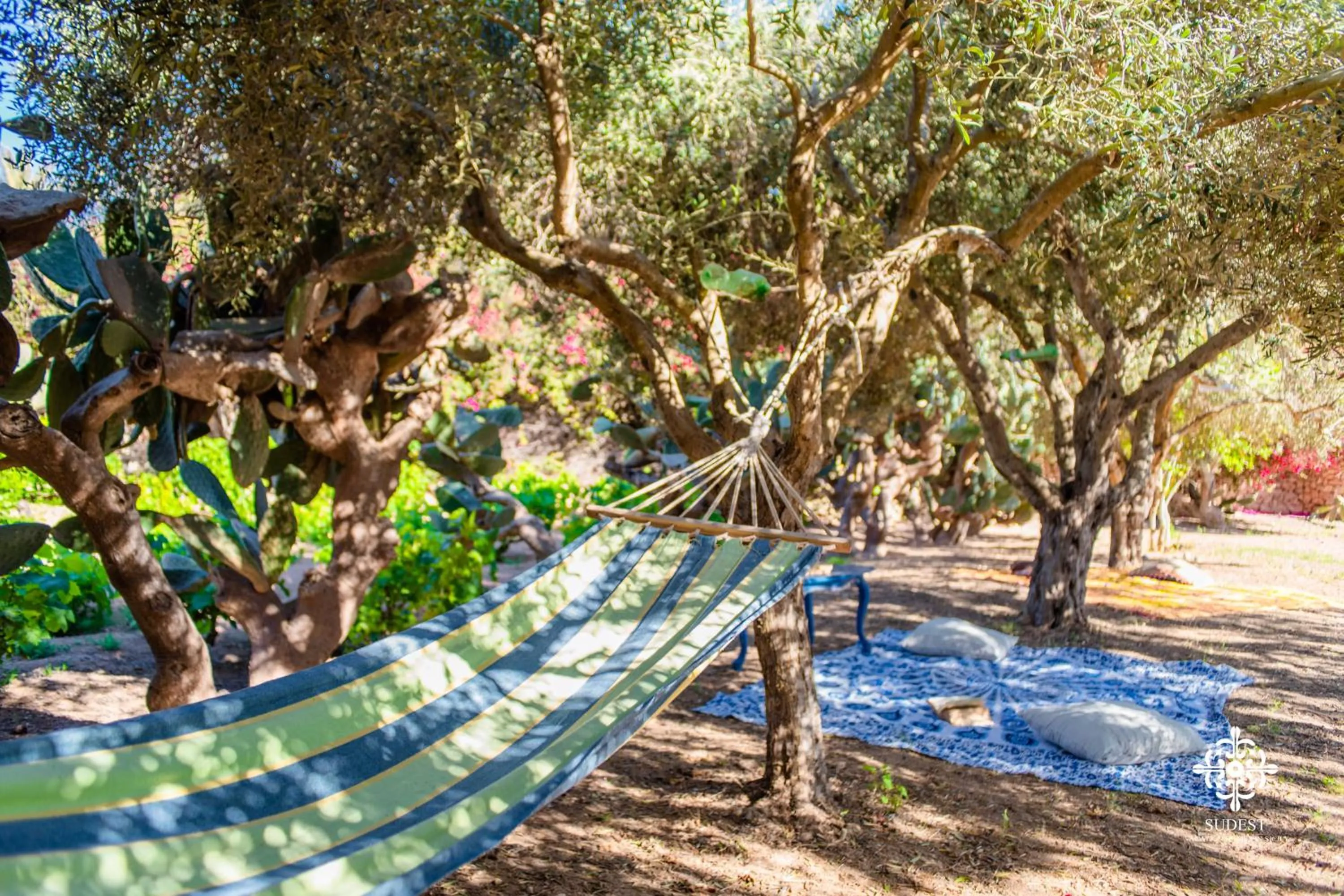 Garden in Residenza Ormos - Dimore sul mare