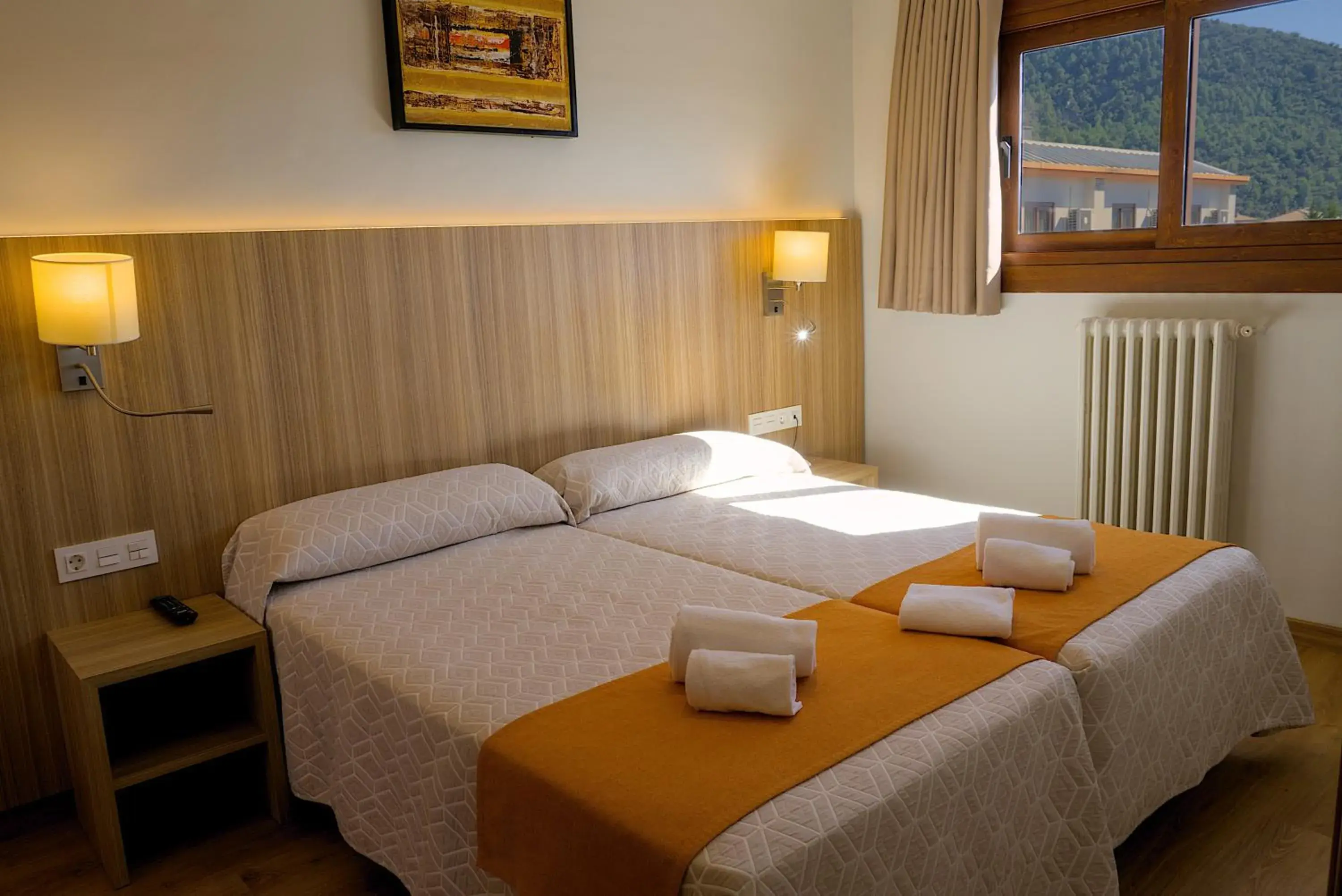 Economy Double Room in Hotel Boltaña Ordesa Economy Double Room in Hotel Boltaña Ordesa