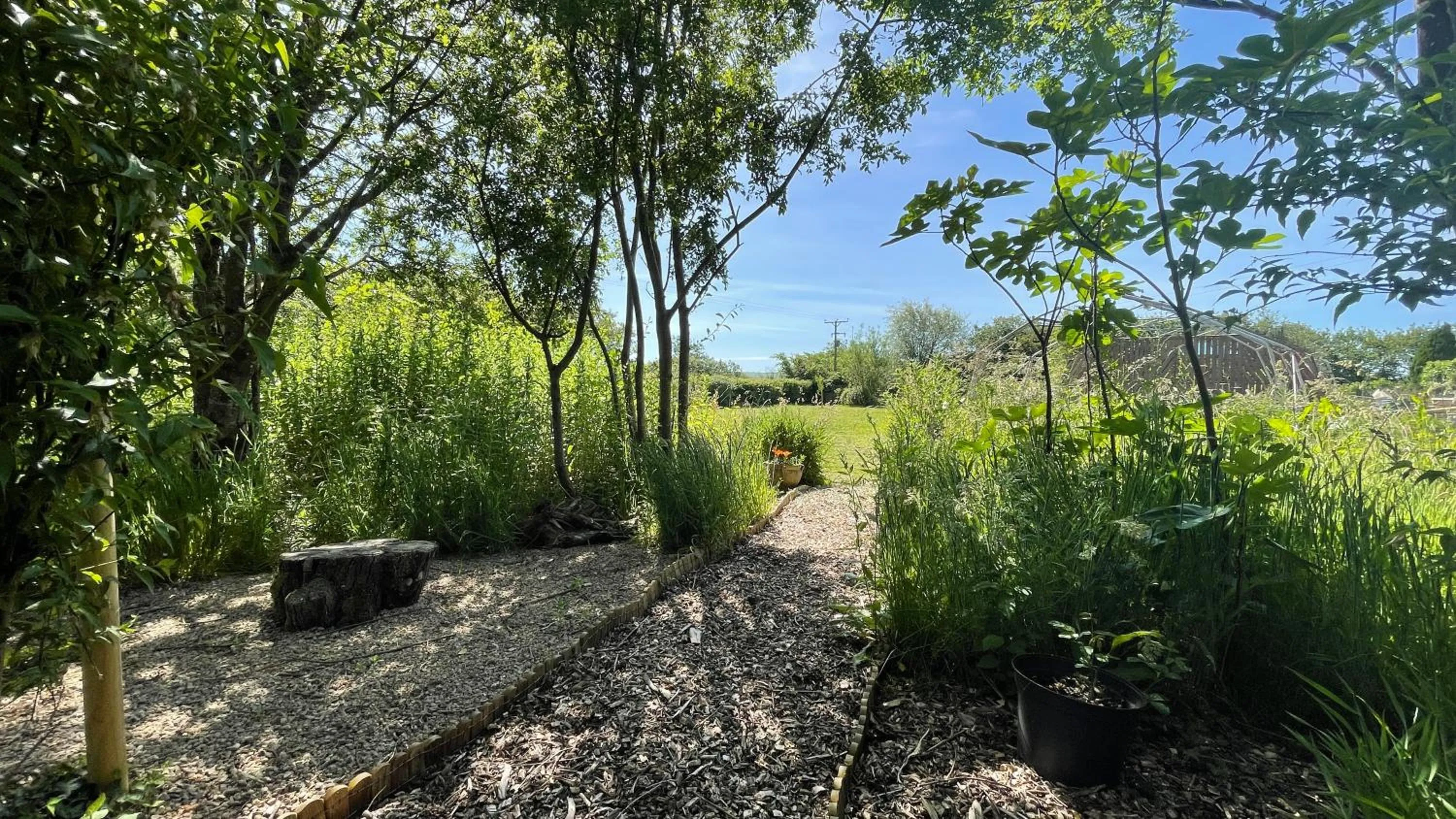 Garden in Moorview House