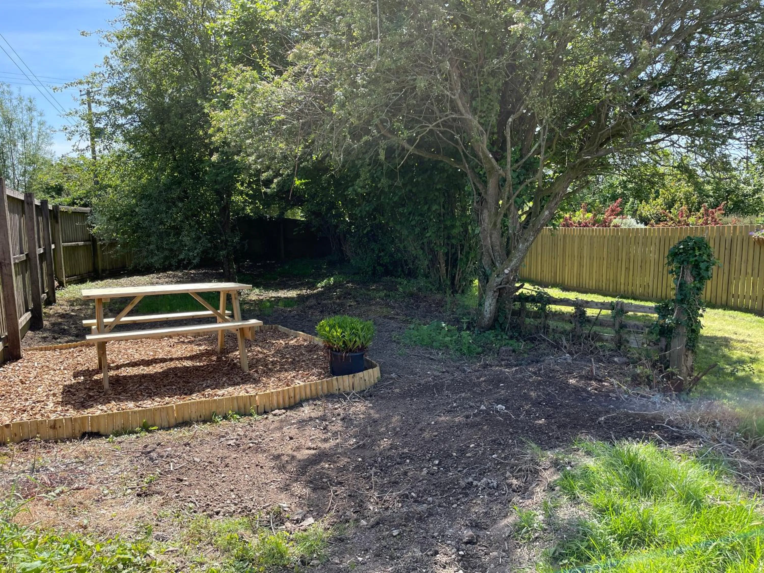 Garden in Moorview House