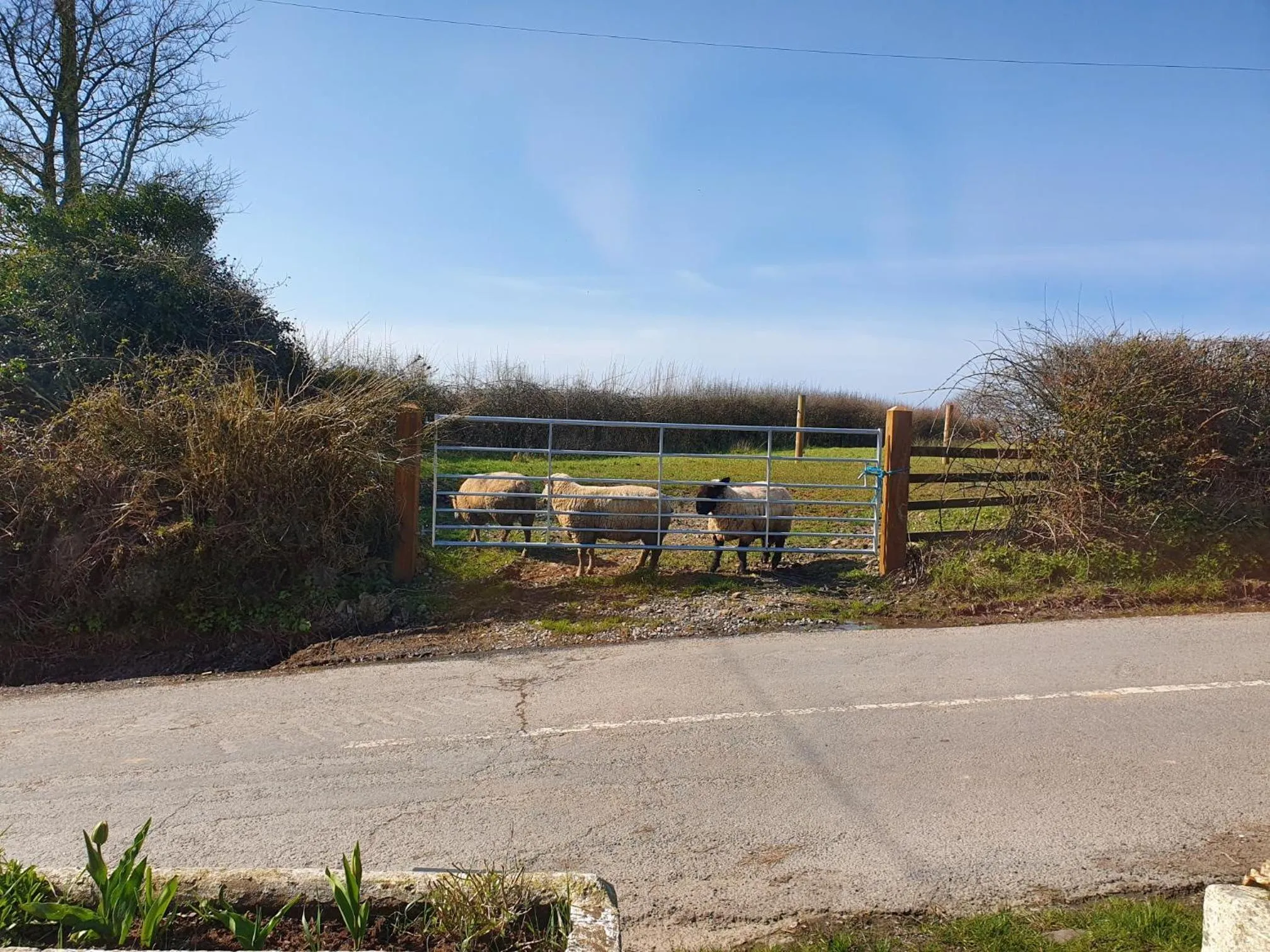 Neighbourhood in Moorview House