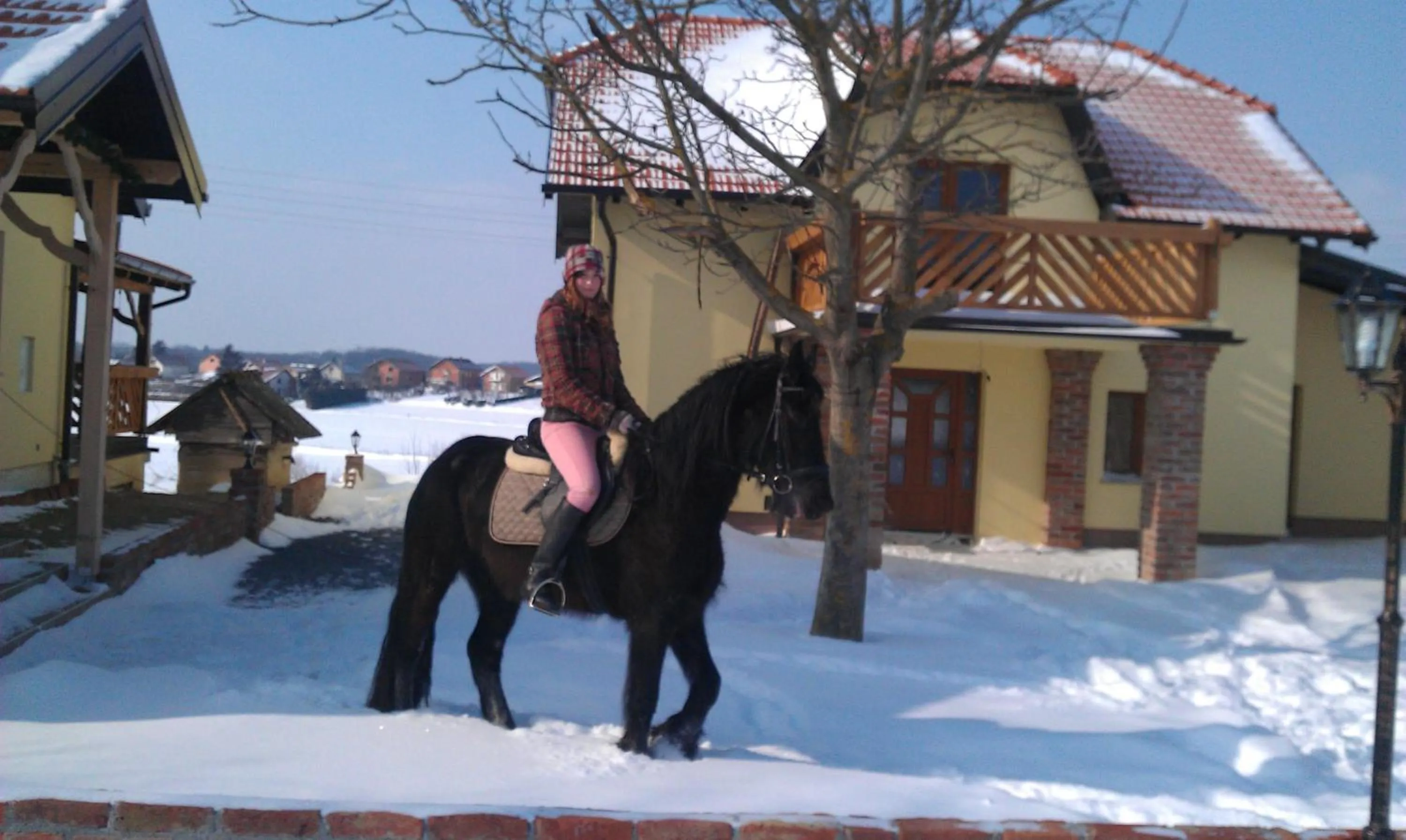Horse-riding in Rooms & Apartment Vinia