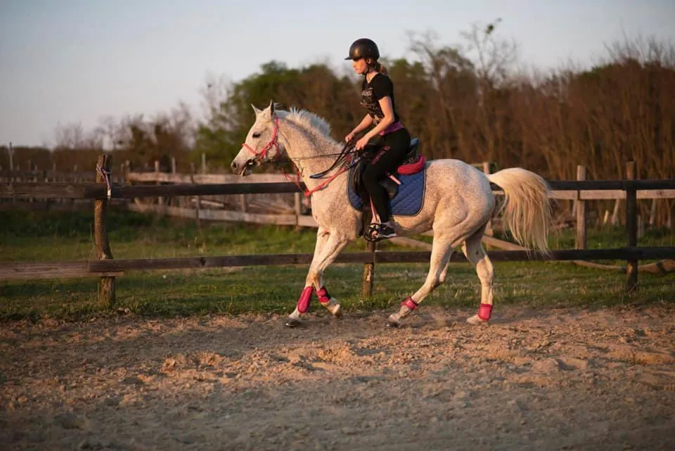 Horse-riding in Rooms & Apartment Vinia