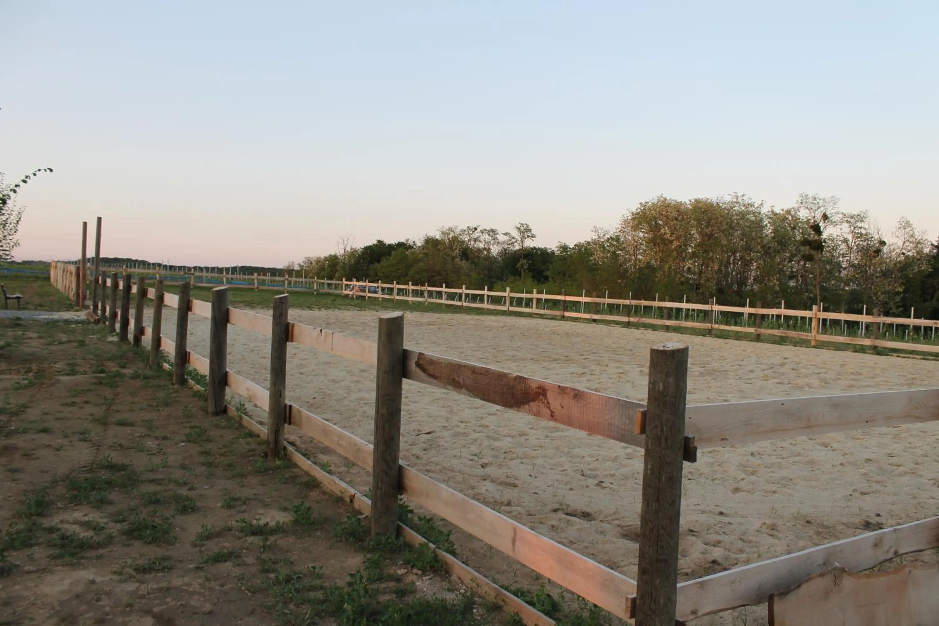 Horse-riding in Rooms & Apartment Vinia