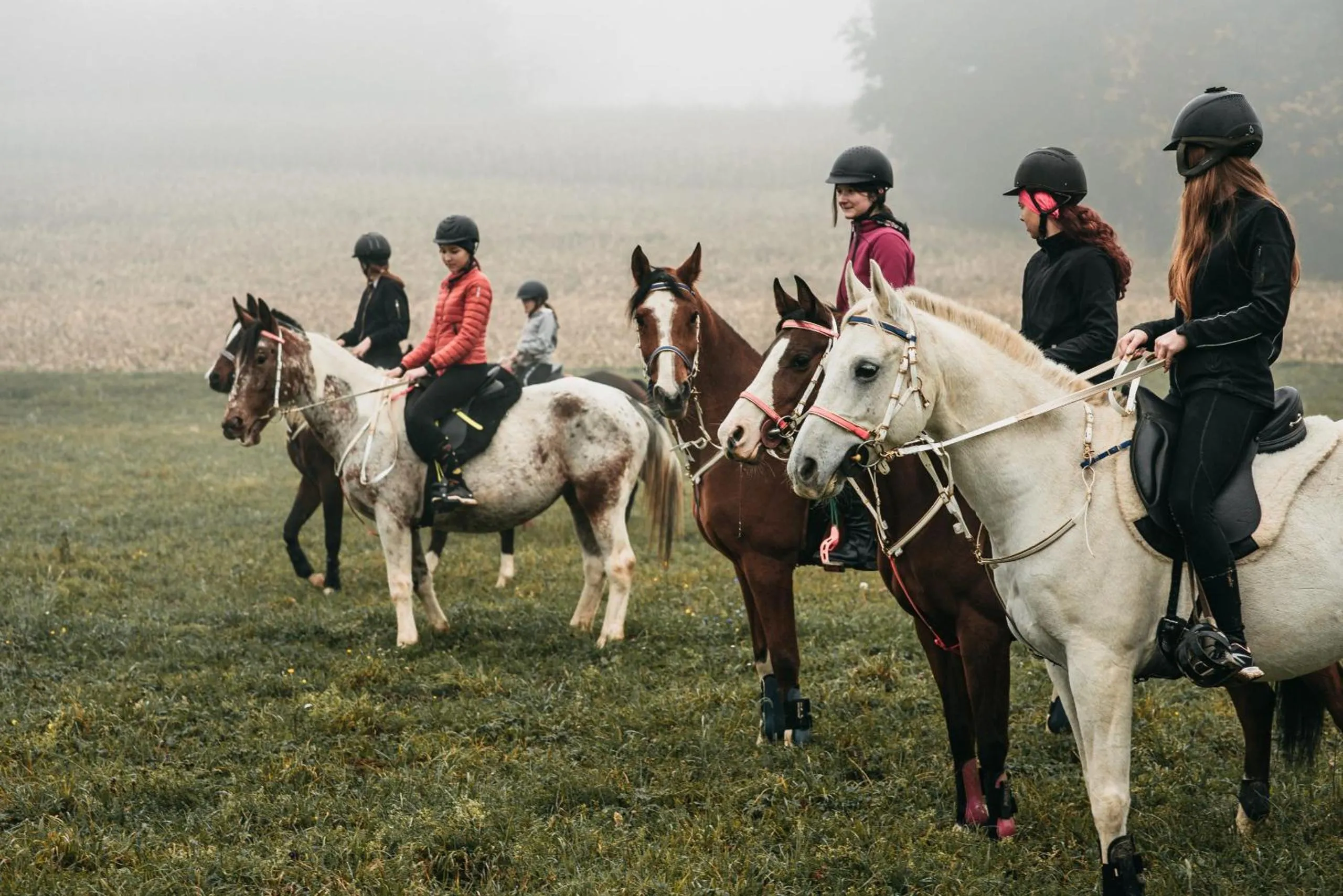 Horse-riding in Rooms & Apartment Vinia
