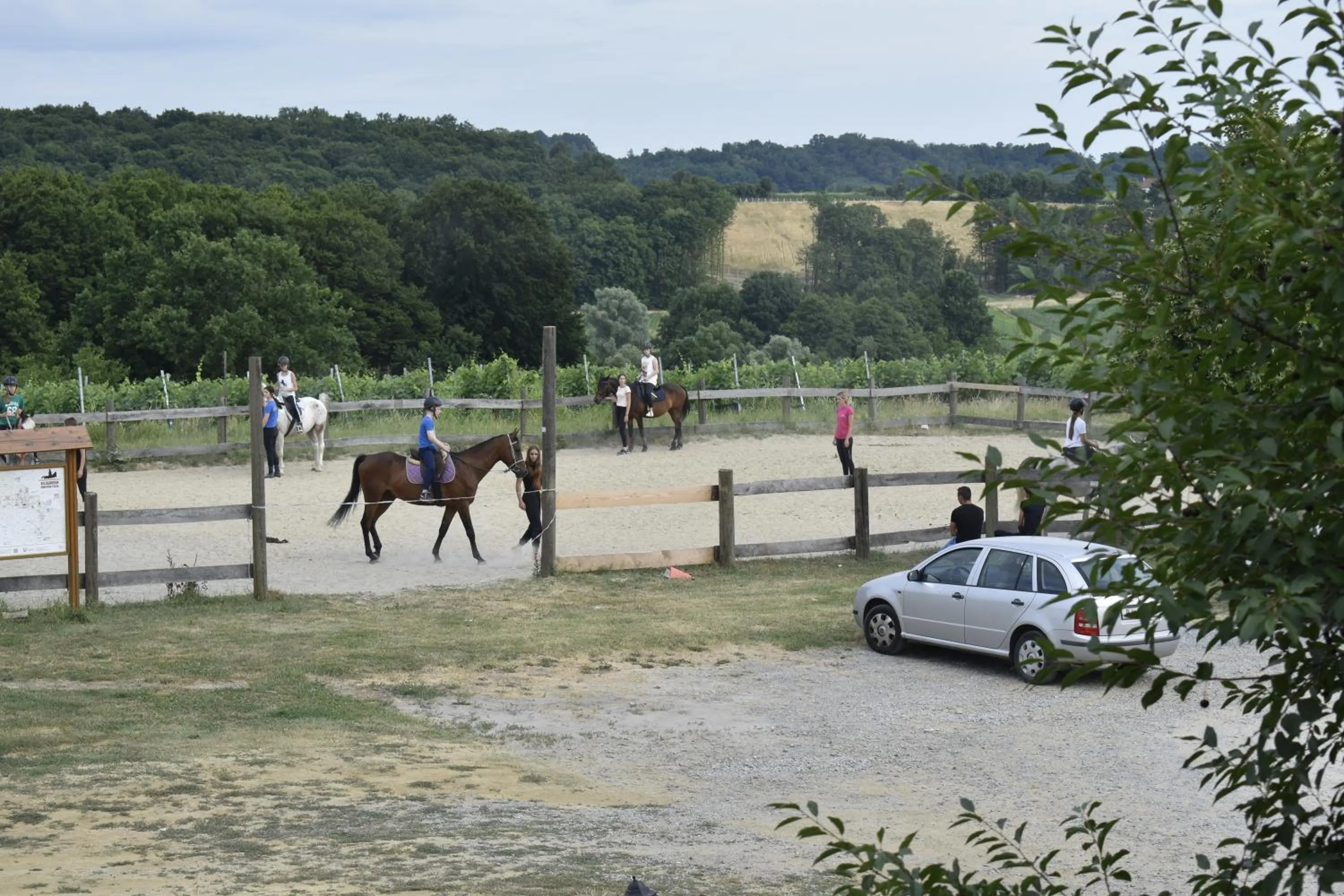 Horse-riding in Rooms & Apartment Vinia