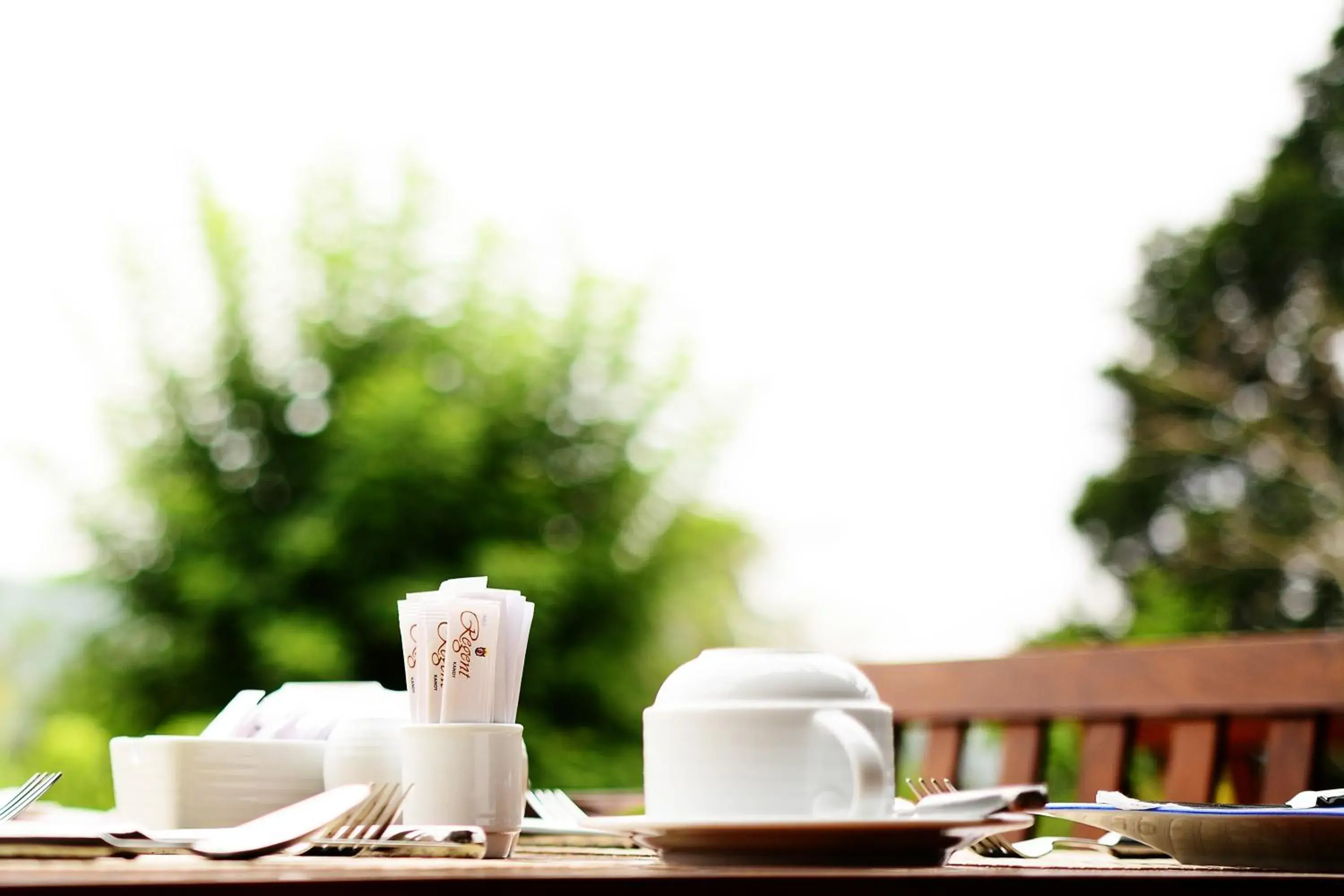 Food and drinks in Earl's Regent Hotel Food and drinks in Earl's Regent Hotel