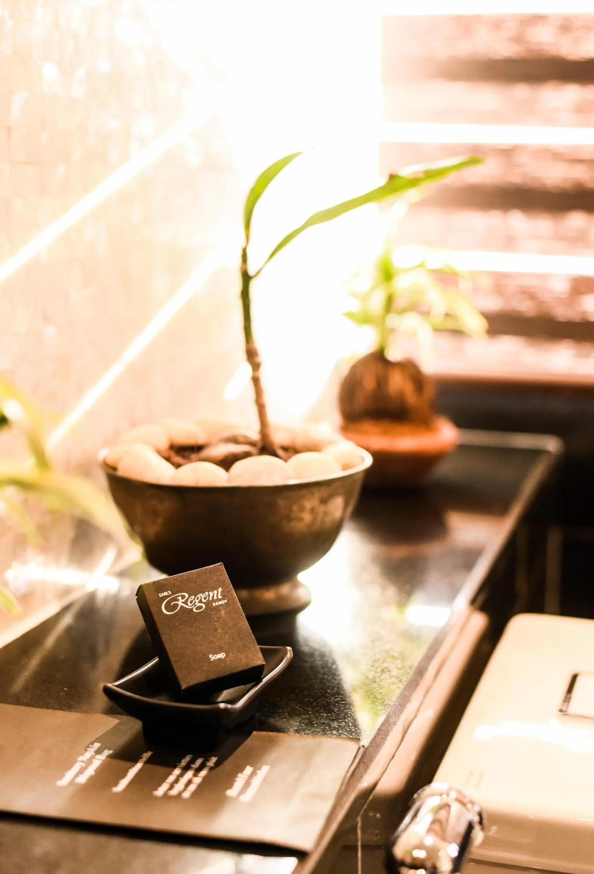 Other in Earl's Regent Hotel