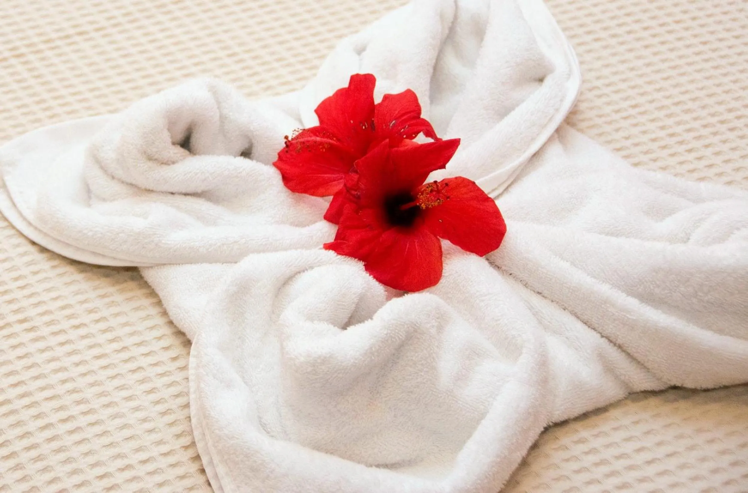 Bed in Ippoliti Village