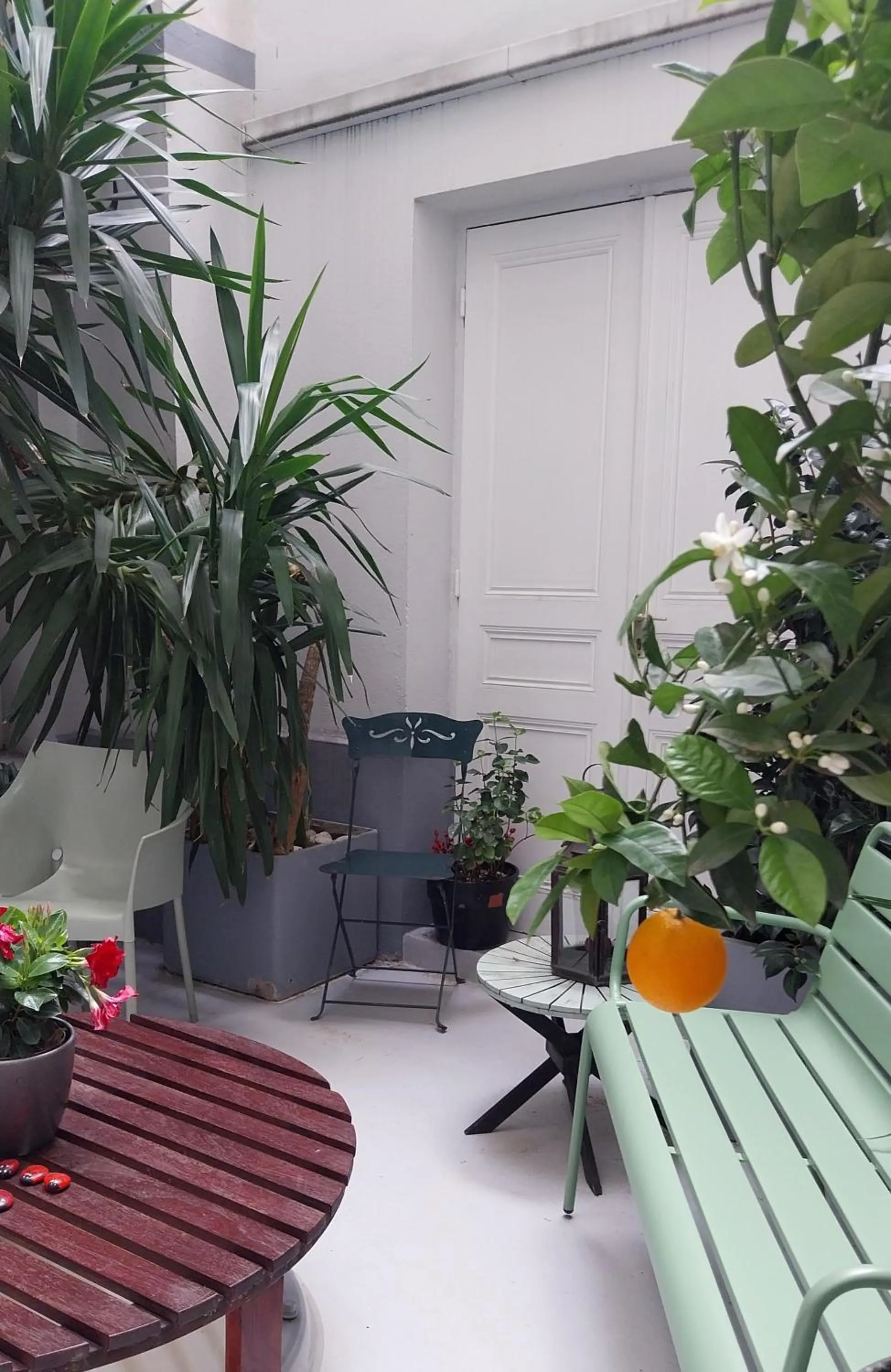 Patio in HOTEL ALISON