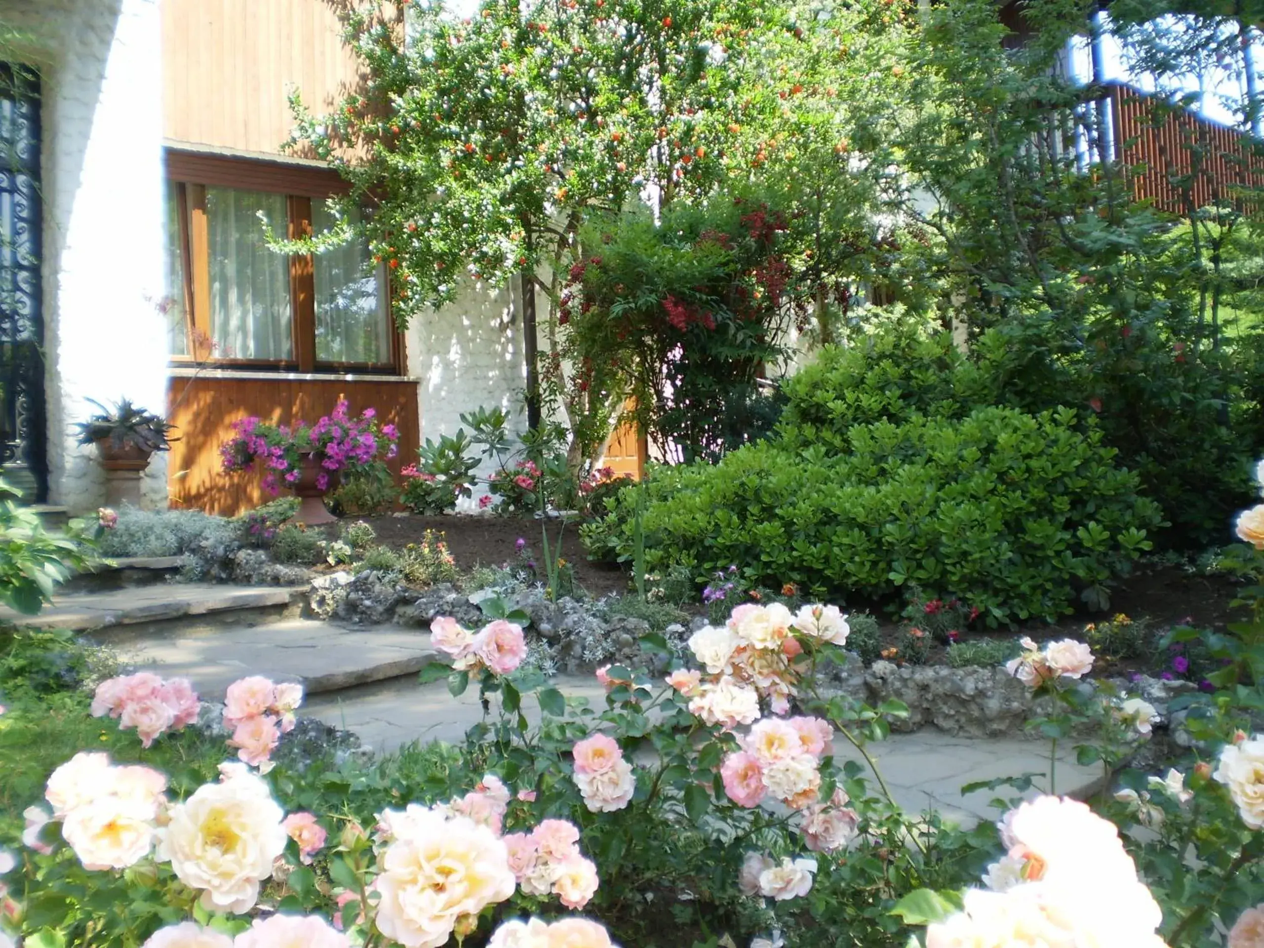 B&B Fontanella B&B Fontanella