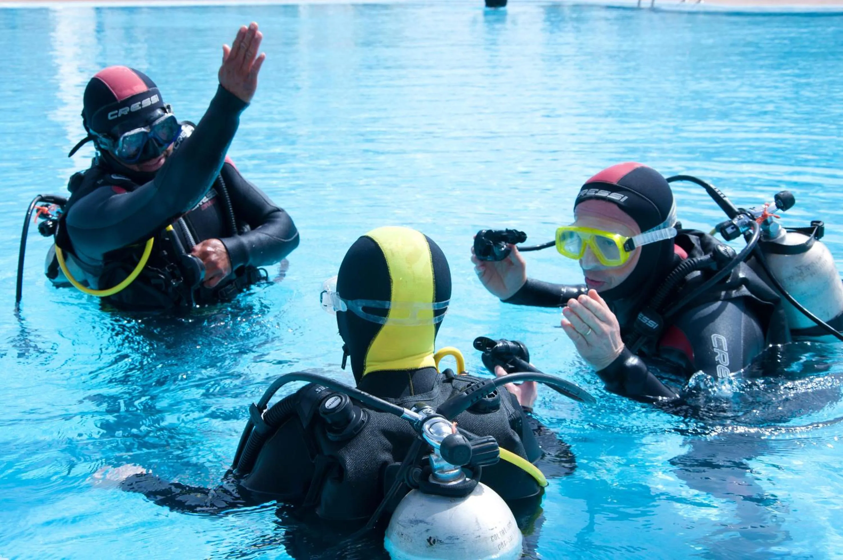 Activities in Melia Tortuga Beach - All Inclusive