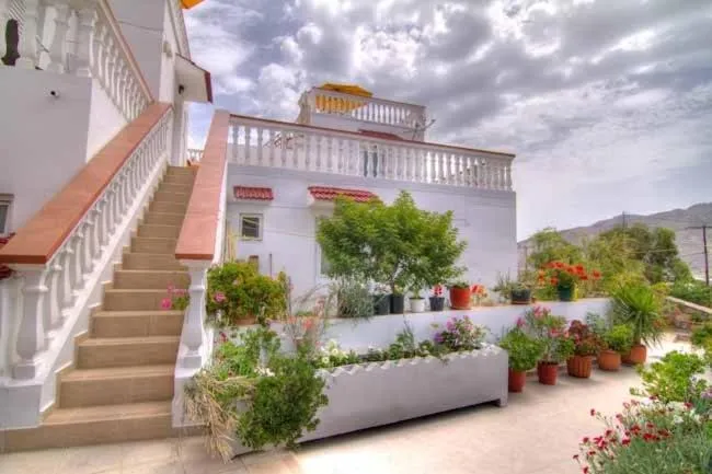 Garden in Seva' s Studios