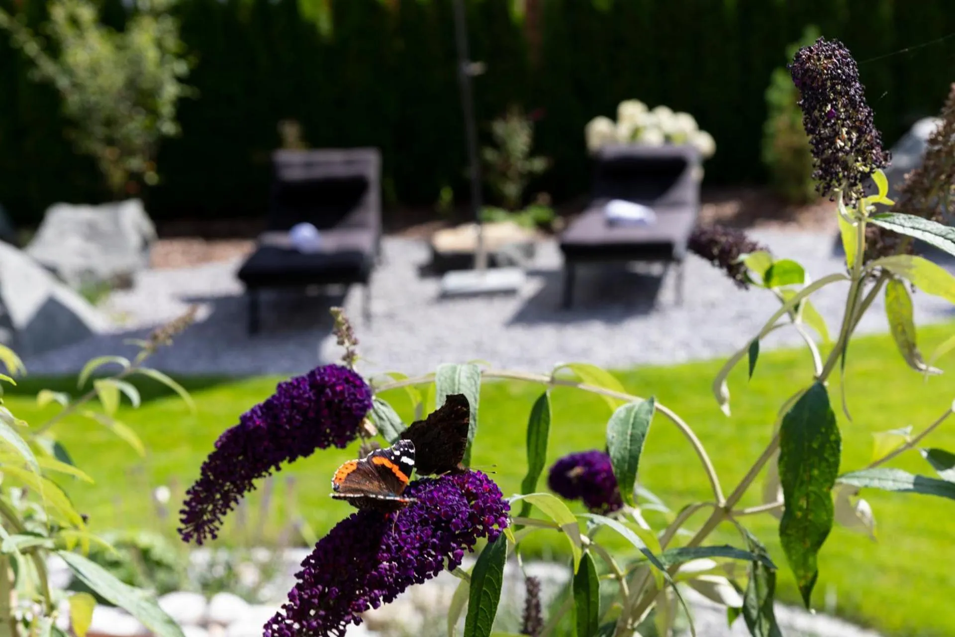 Garden in Hotel Bergidyll