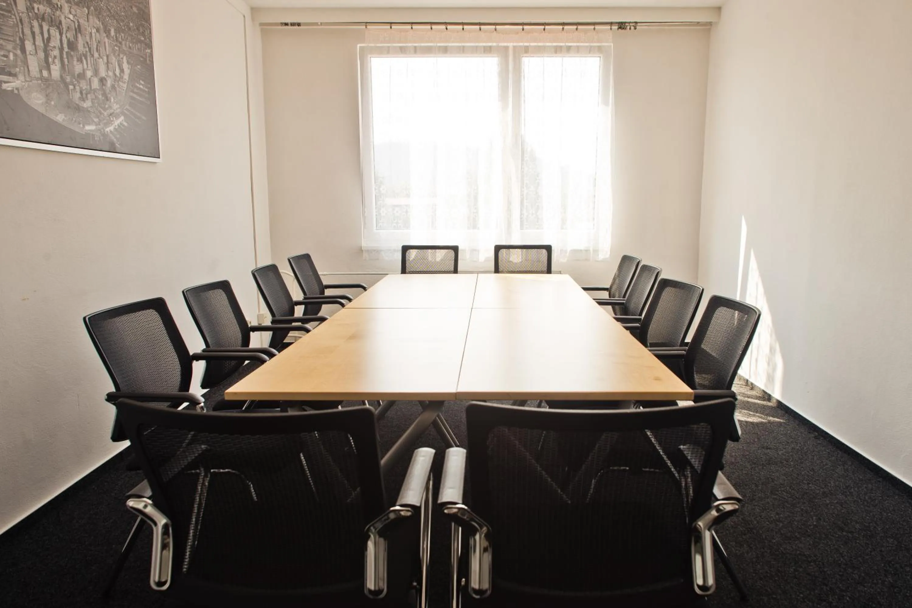 Business facilities in Hotel Buly