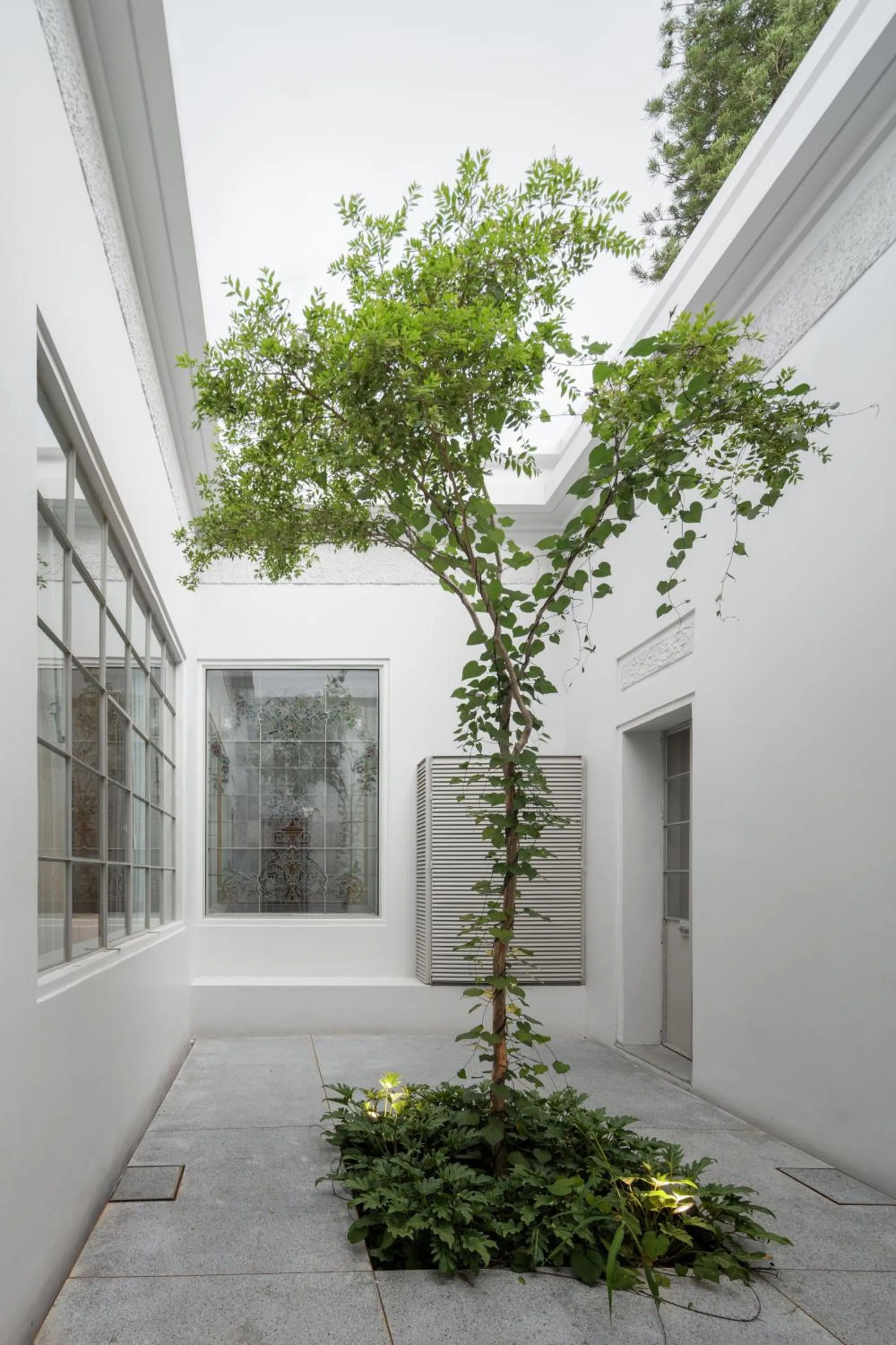 Patio in Casa Bosque Eduviges