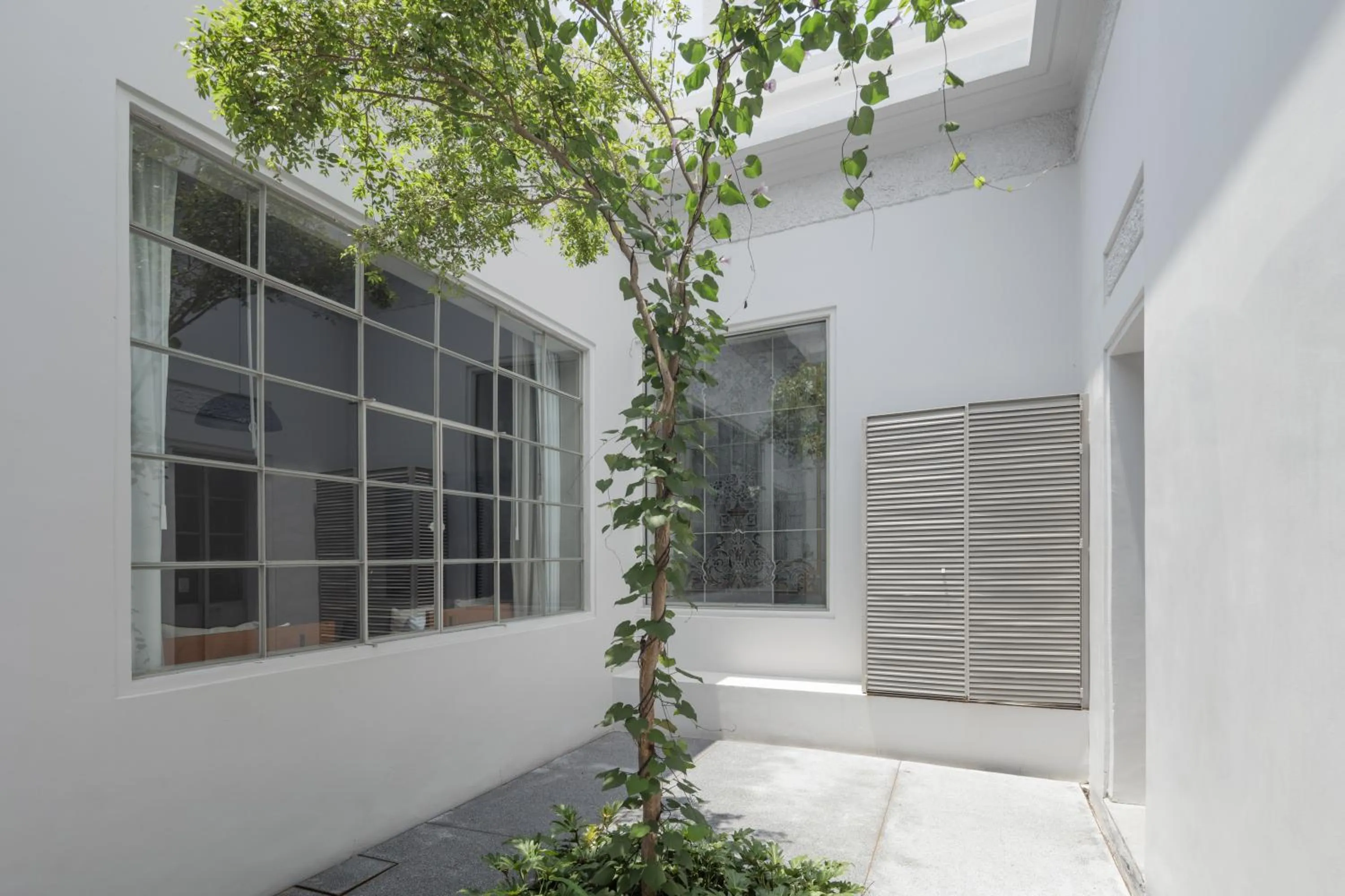 Patio in Casa Bosque Eduviges