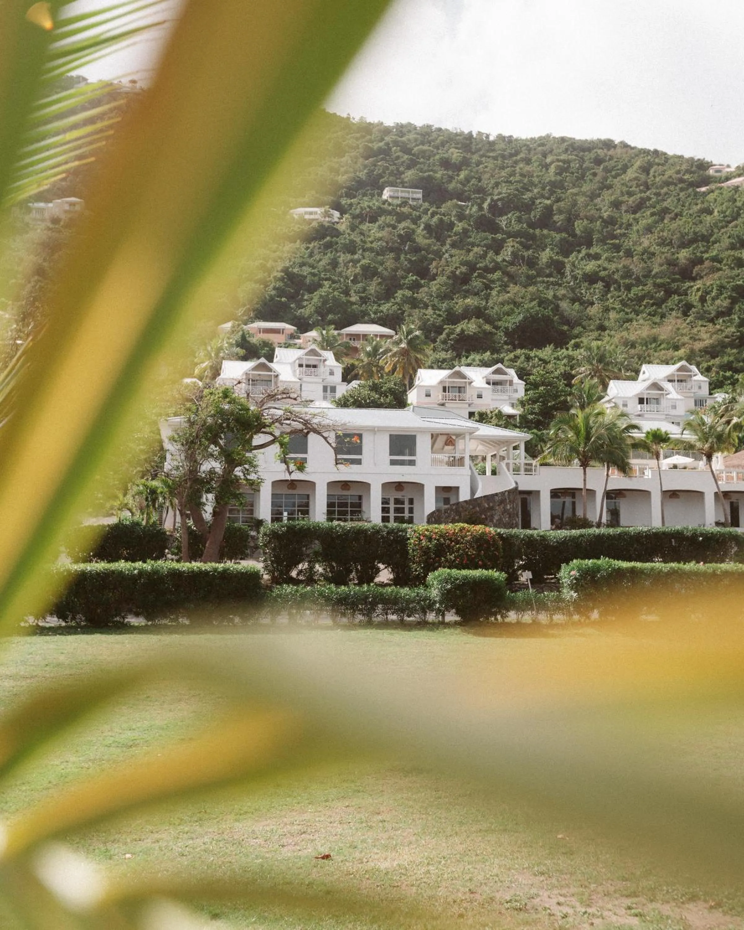 Garden in Long Bay Beach Resort