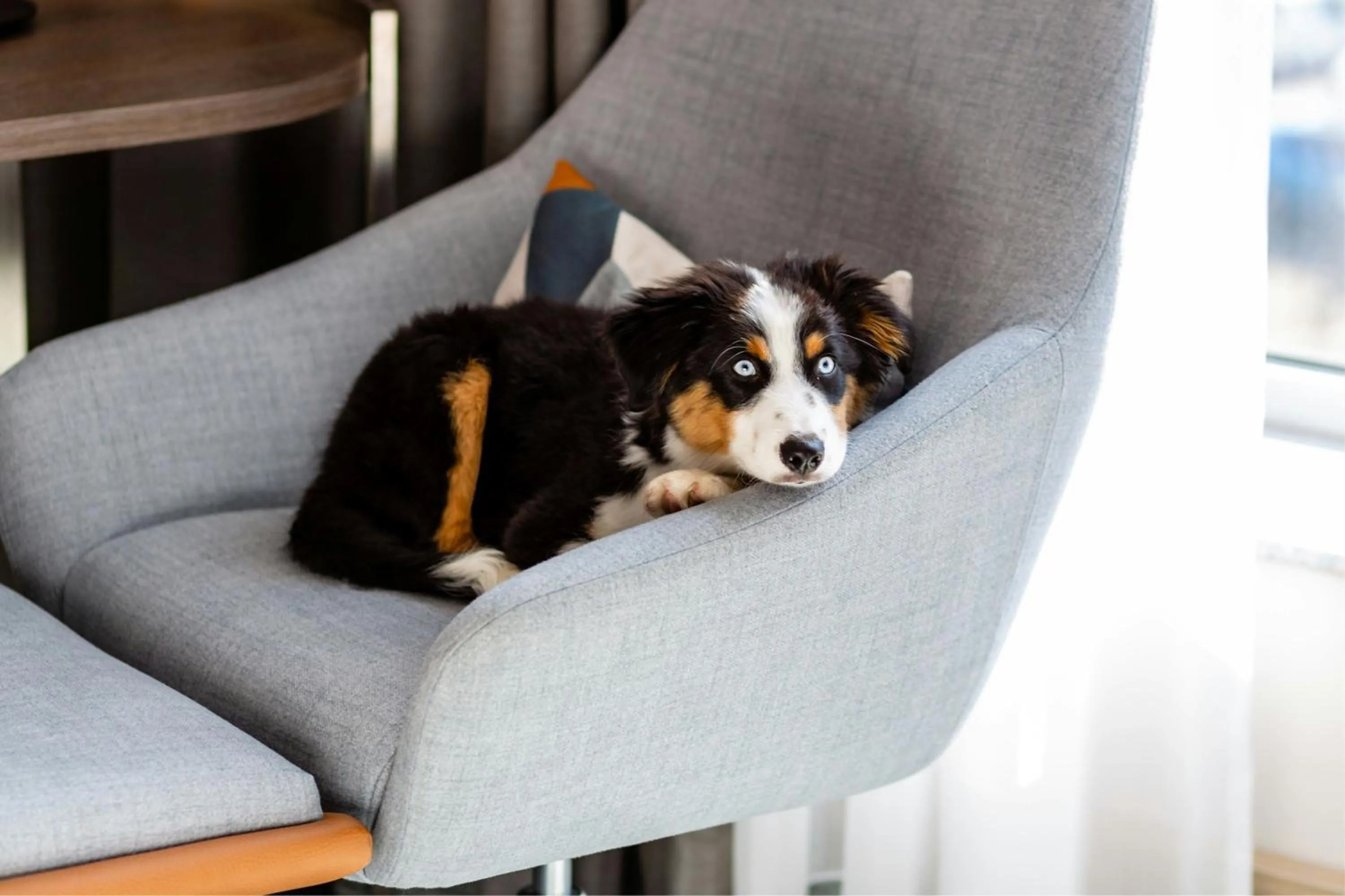 Photo of the whole room in Courtyard by Marriott Berlin City Center