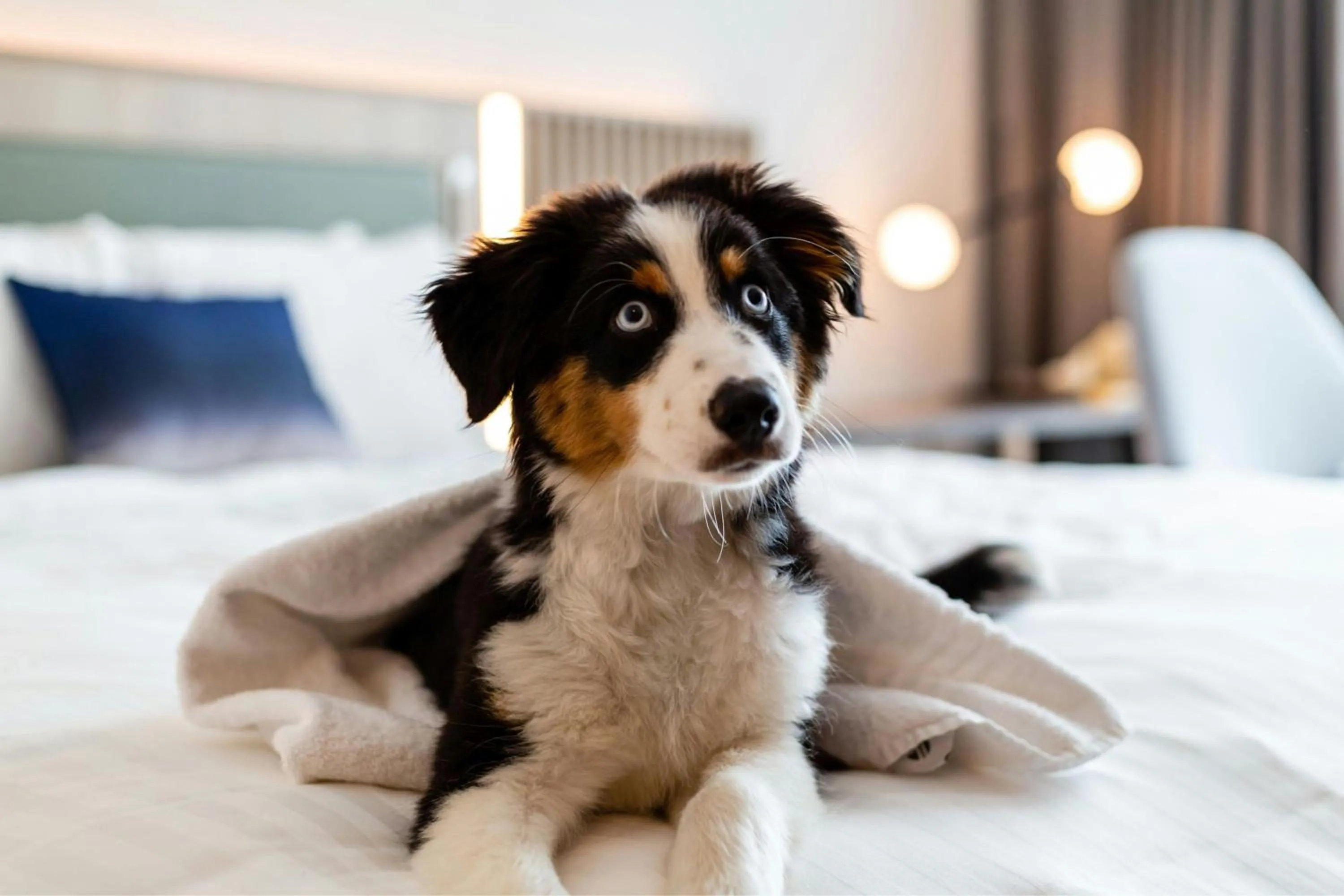 Photo of the whole room in Courtyard by Marriott Berlin City Center