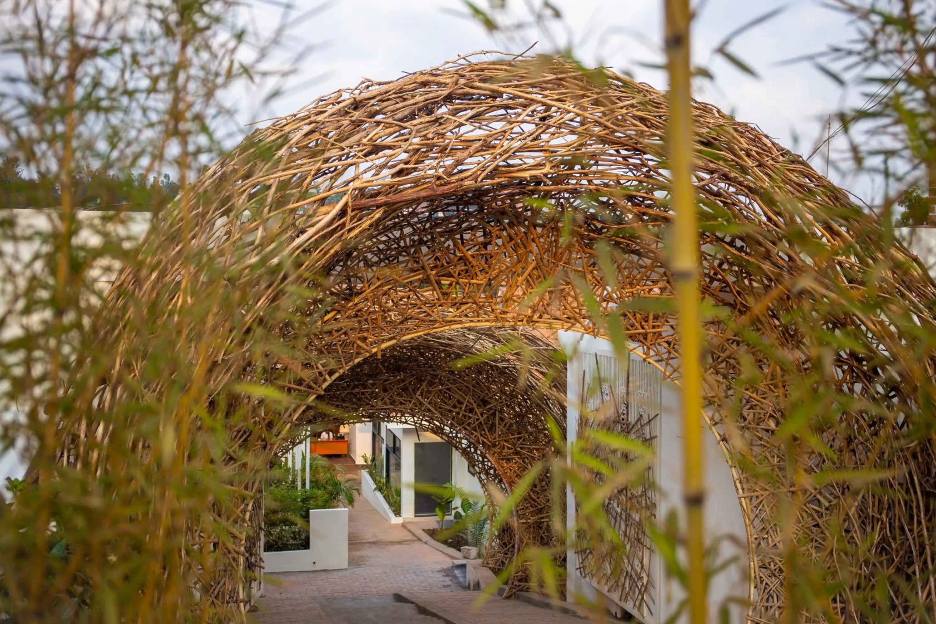 Garden view in The Nest