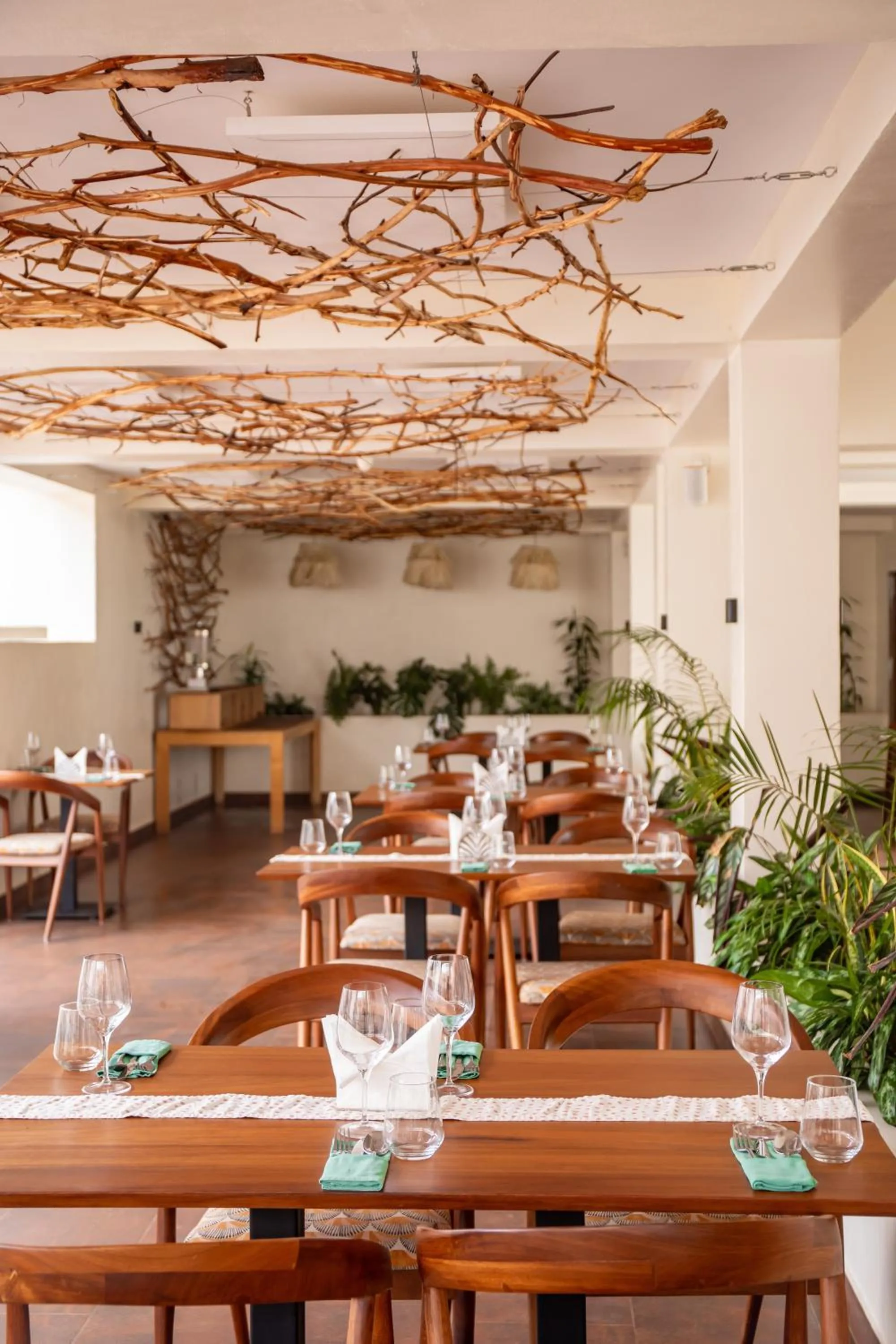 Restaurant/places to eat in The Nest