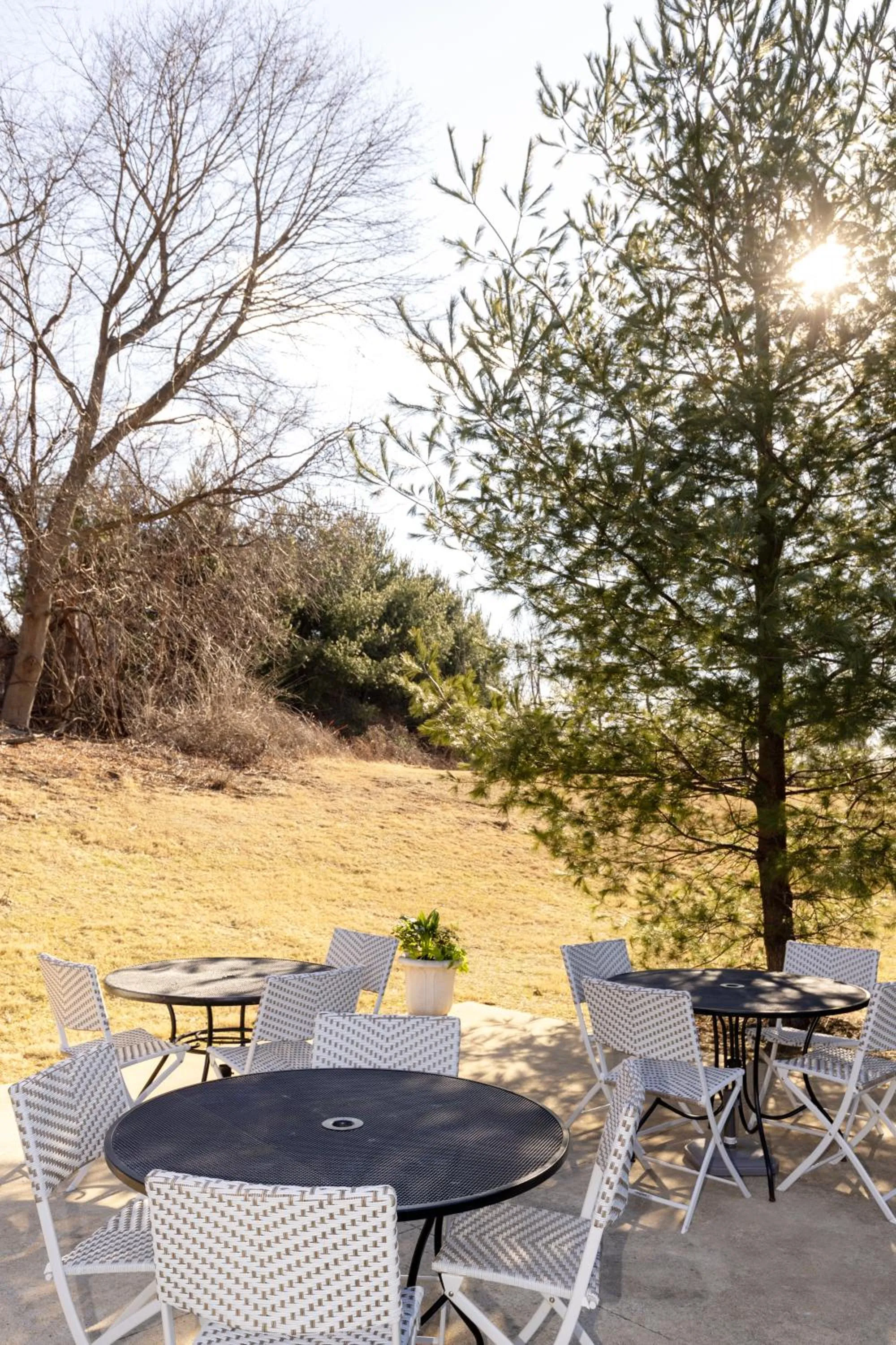 Spring in Brinton Suites