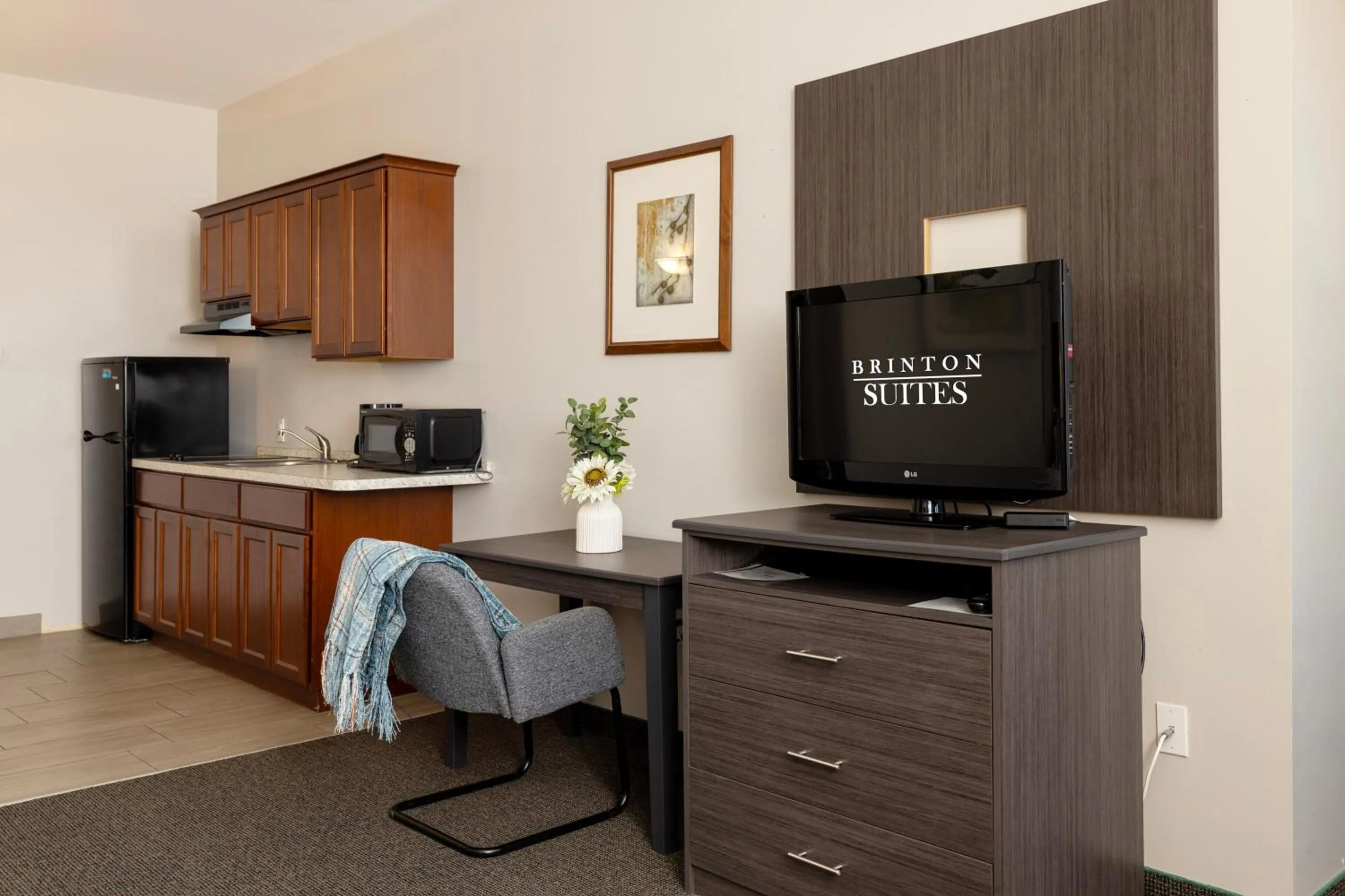 TV and multimedia in Brinton Suites