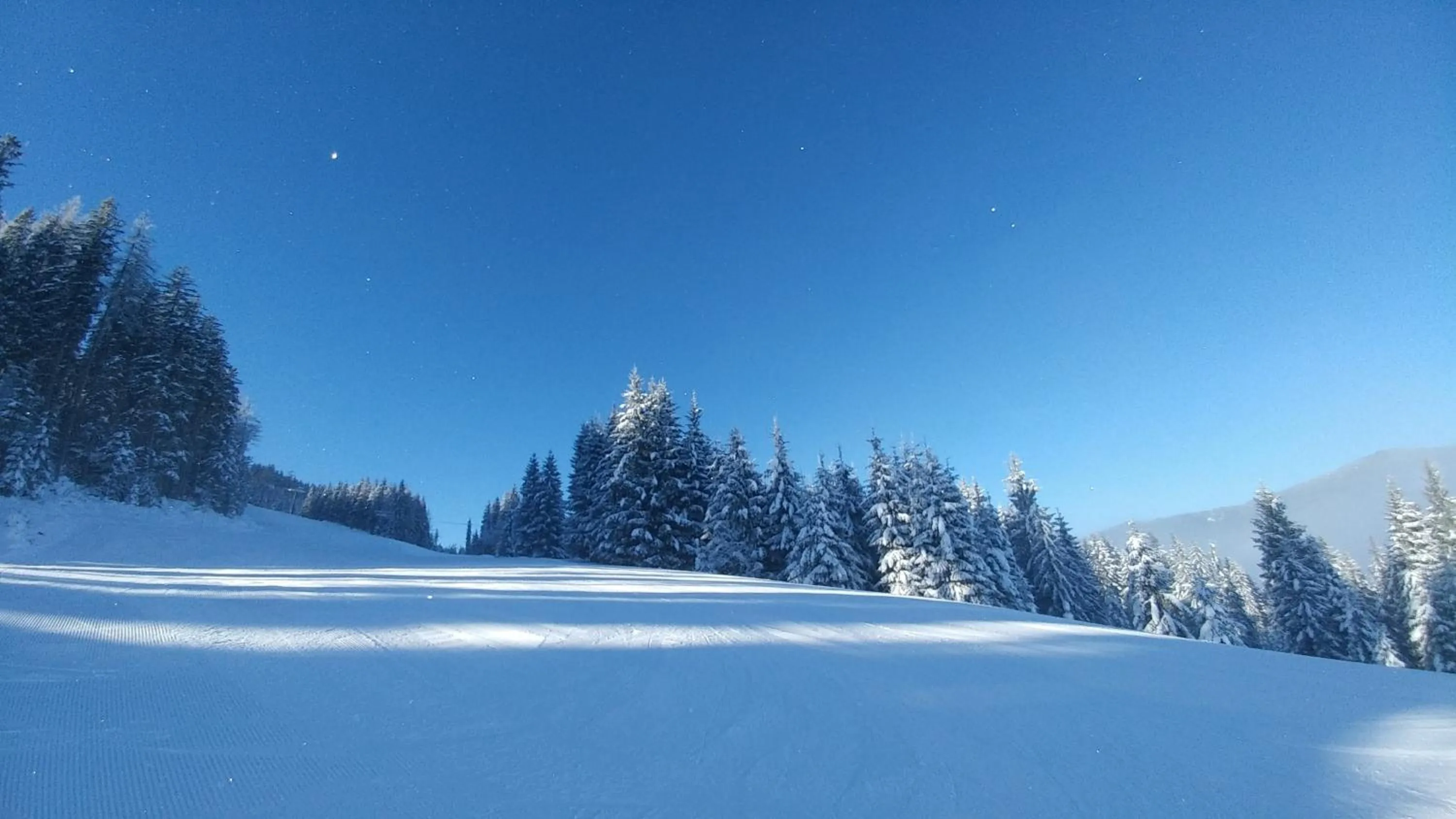 Activities in Haus Susanne