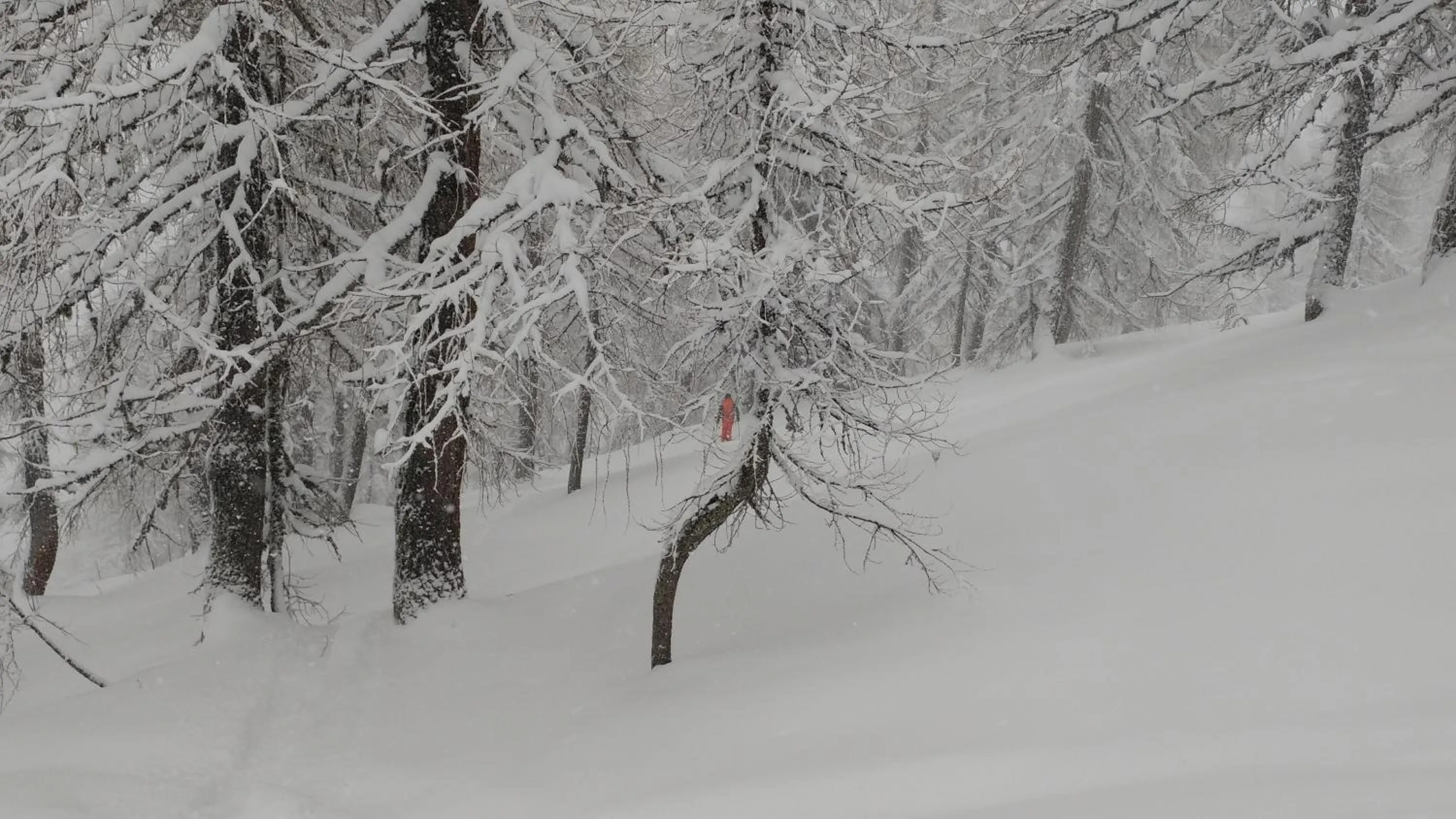 Activities in Haus Susanne