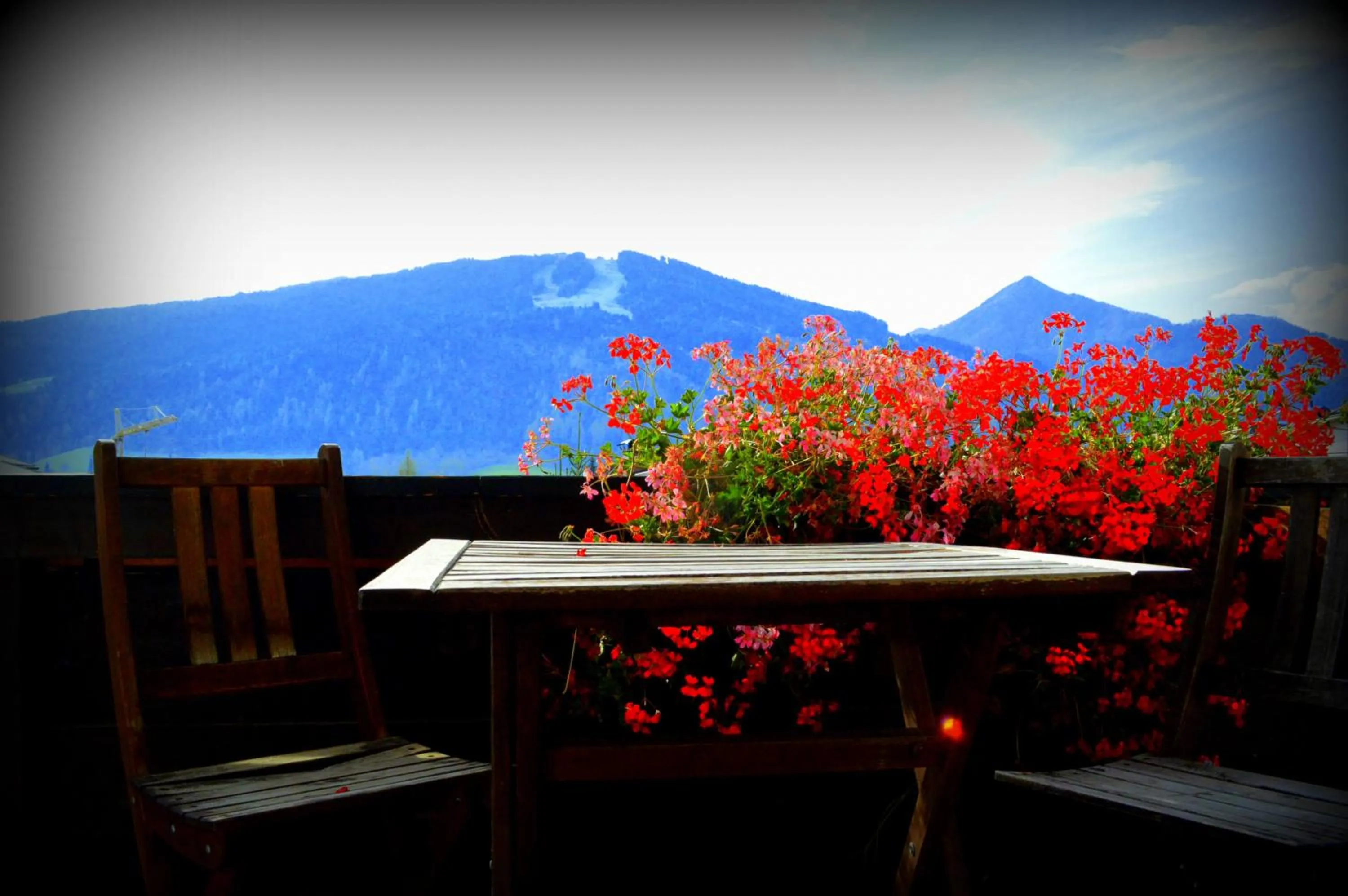 View (from property/room) in Haus Susanne