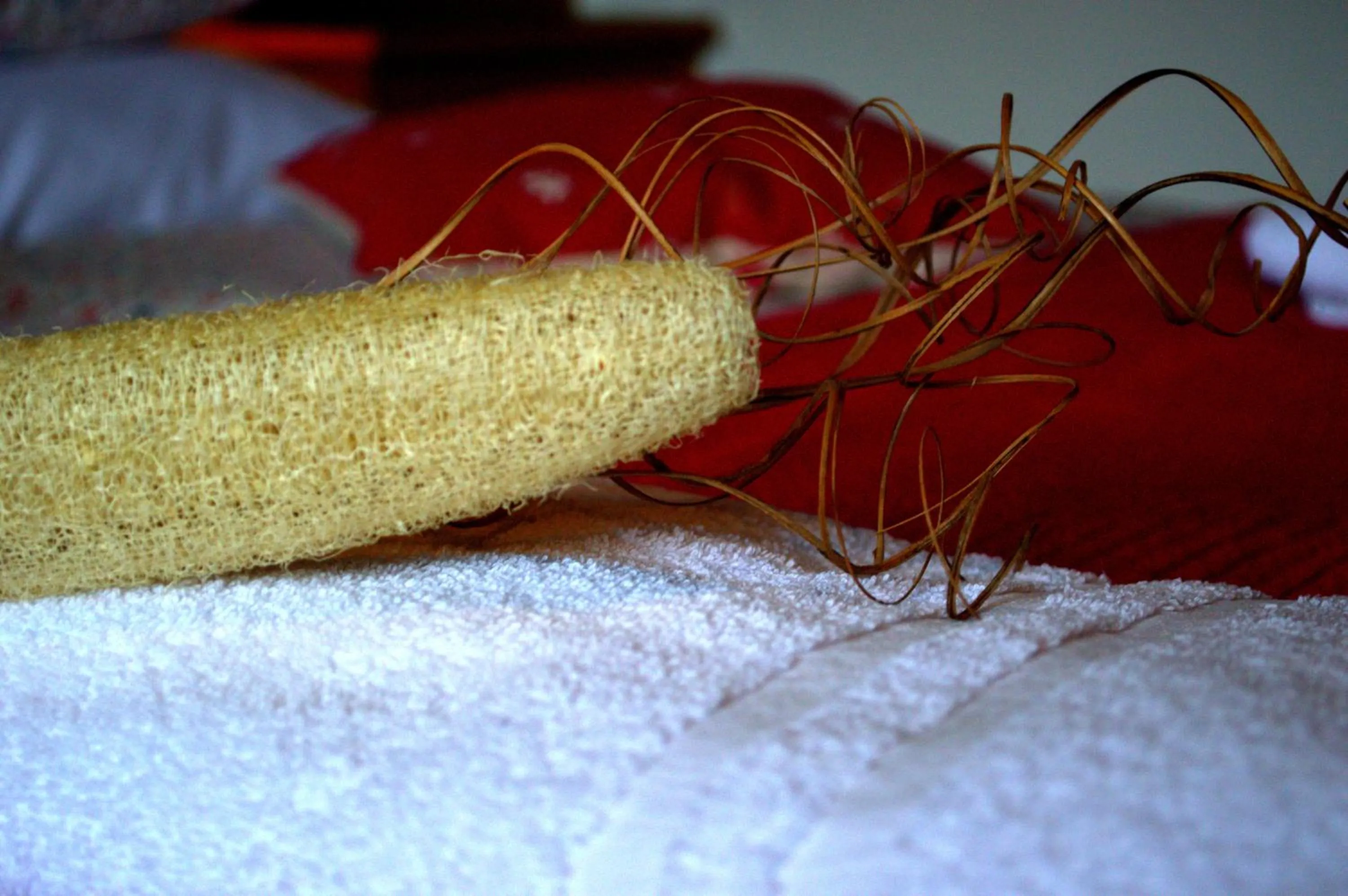 Other in Haus Susanne