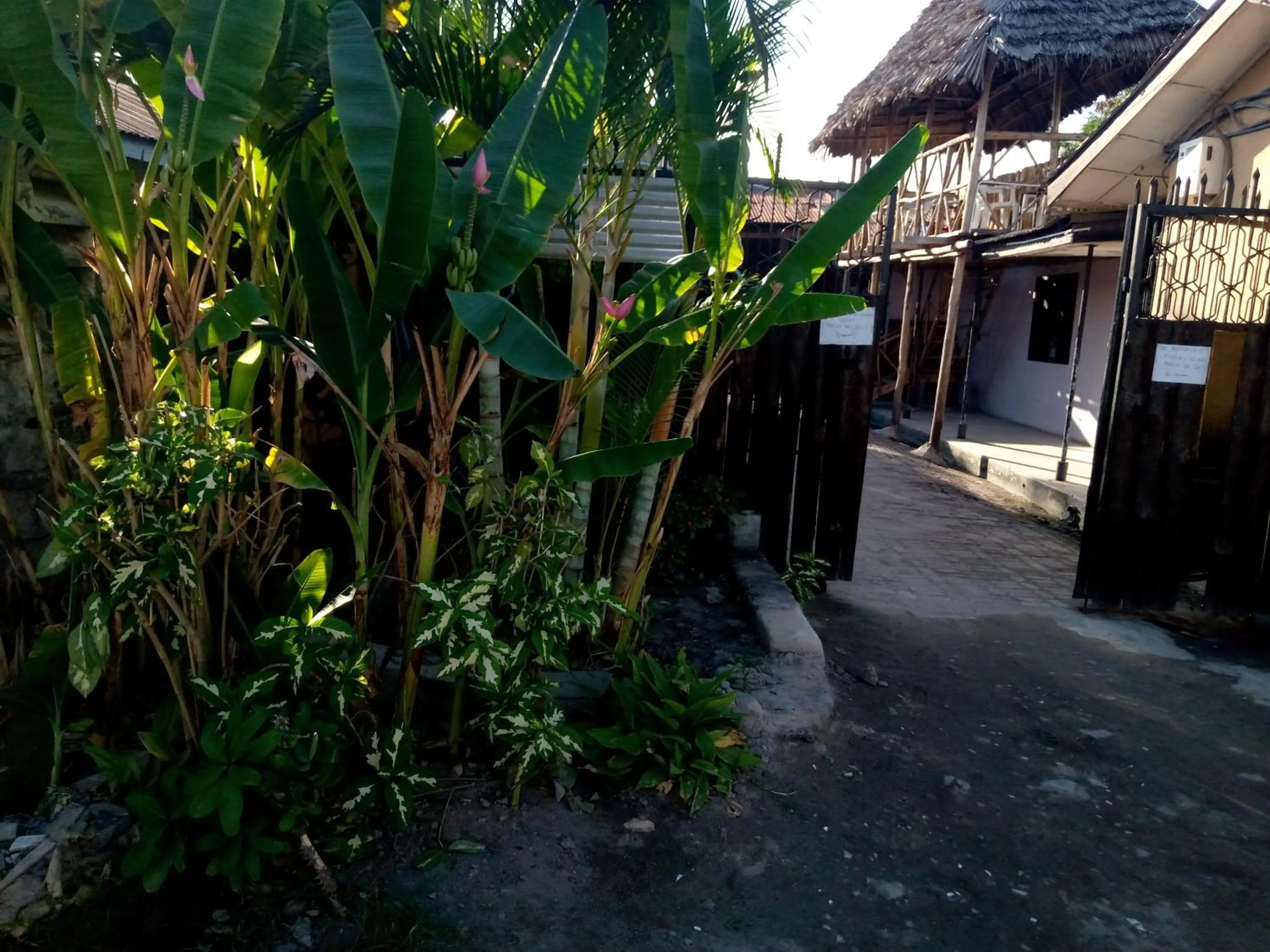 Facade/entrance in Kicec bar and guest house airport