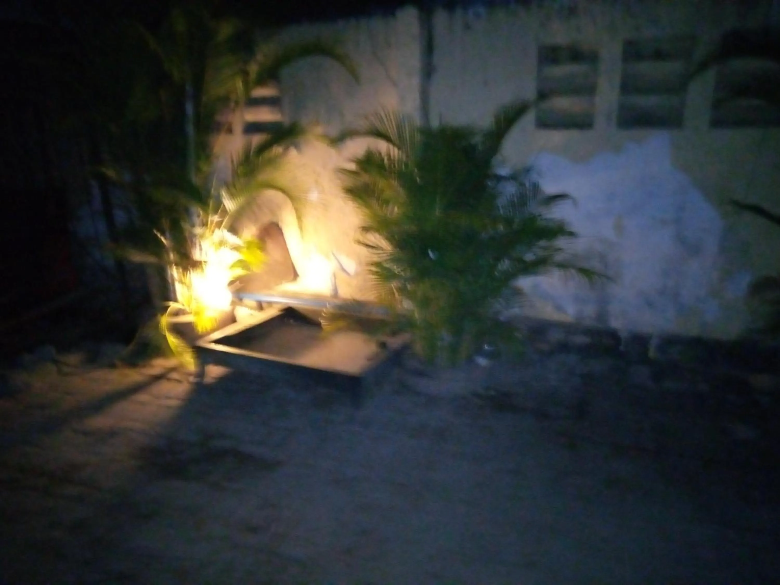 Kicec bar and guest house airport