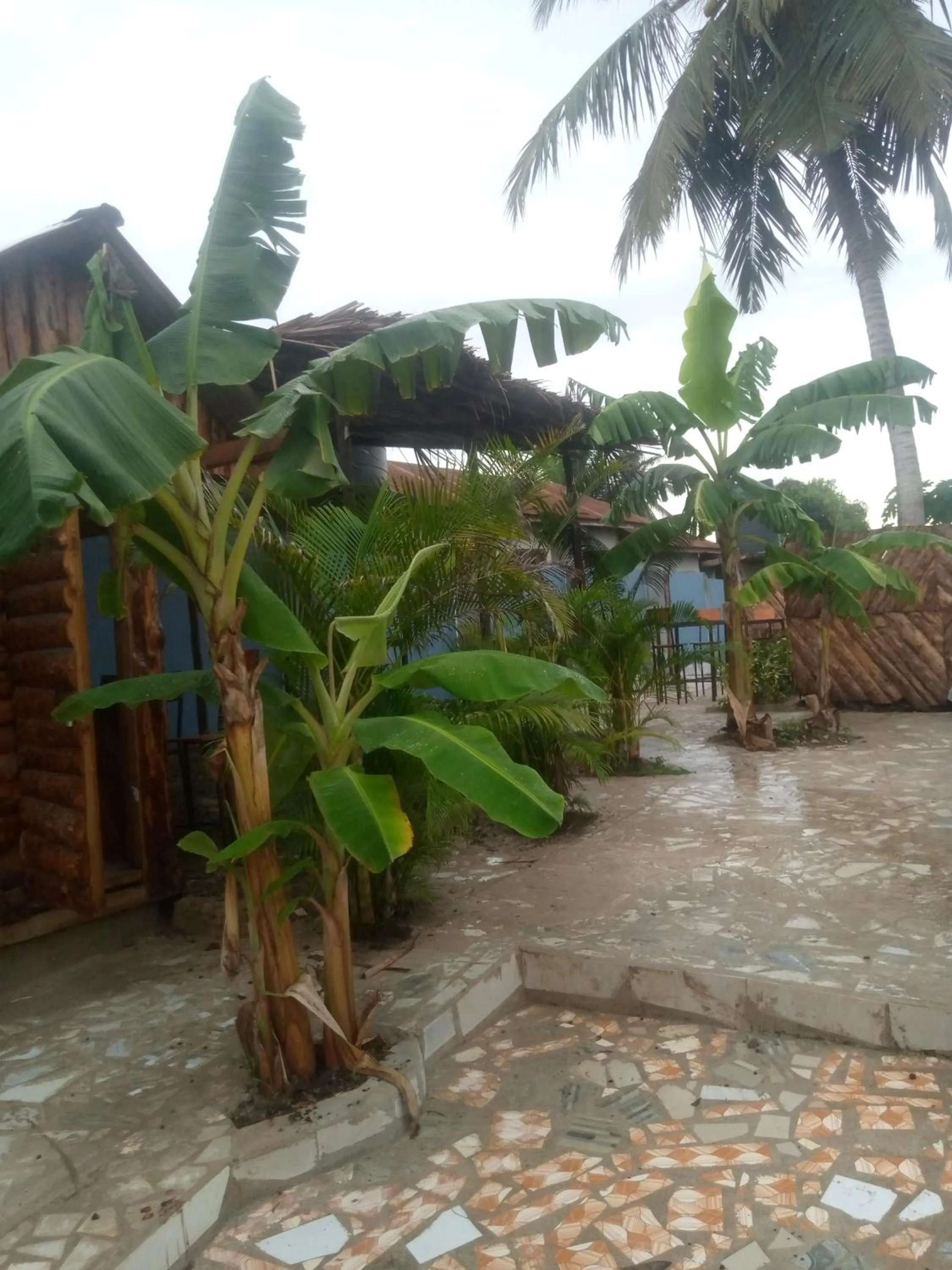 Kicec bar and guest house airport