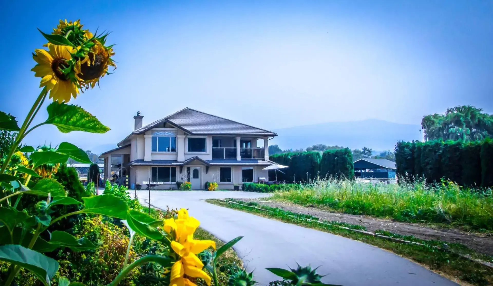 All Seasons Bed & Breakfast All Seasons Bed & Breakfast