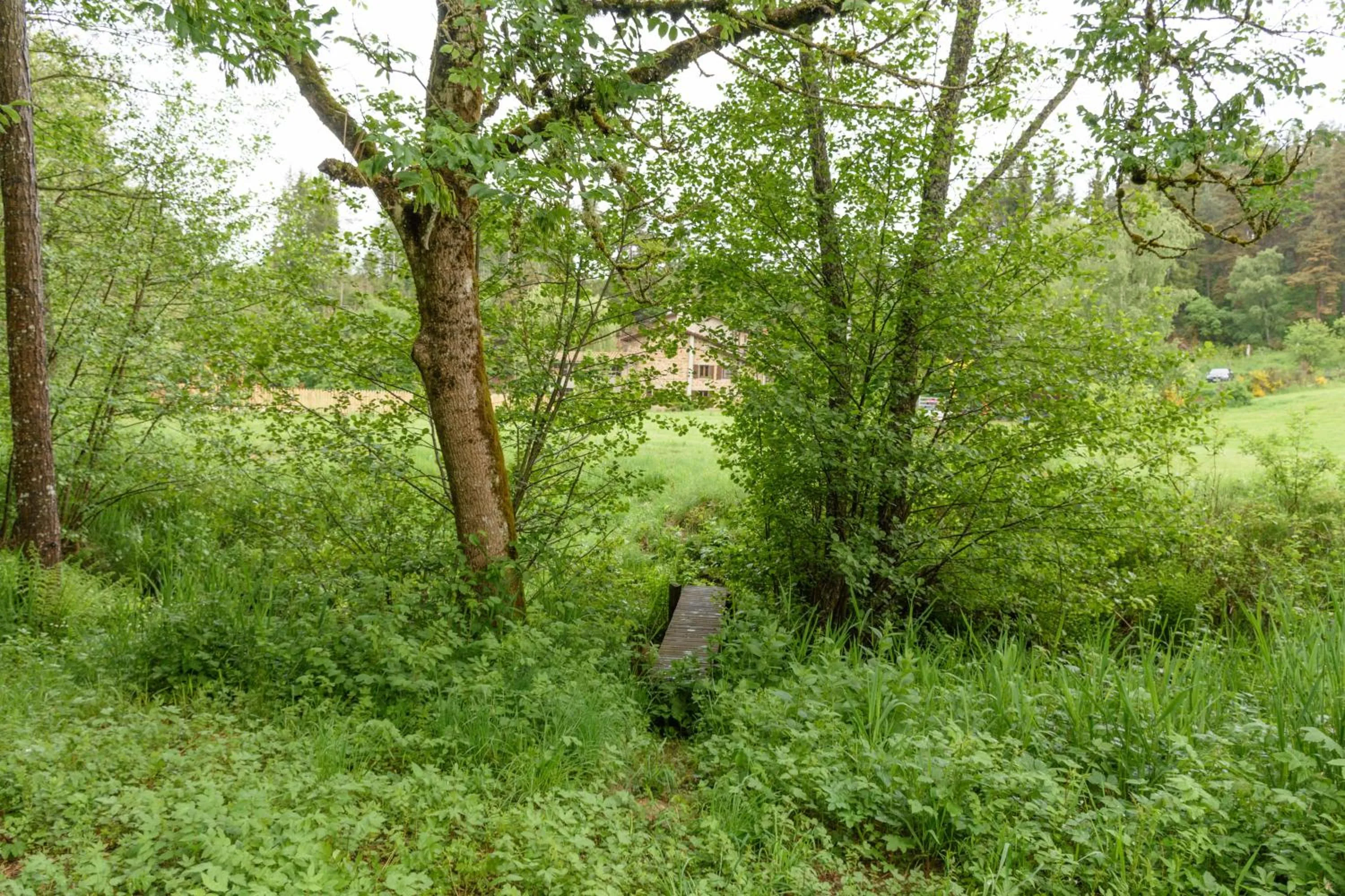 Garden in Moulin des Comtes - Chambre les Rochers