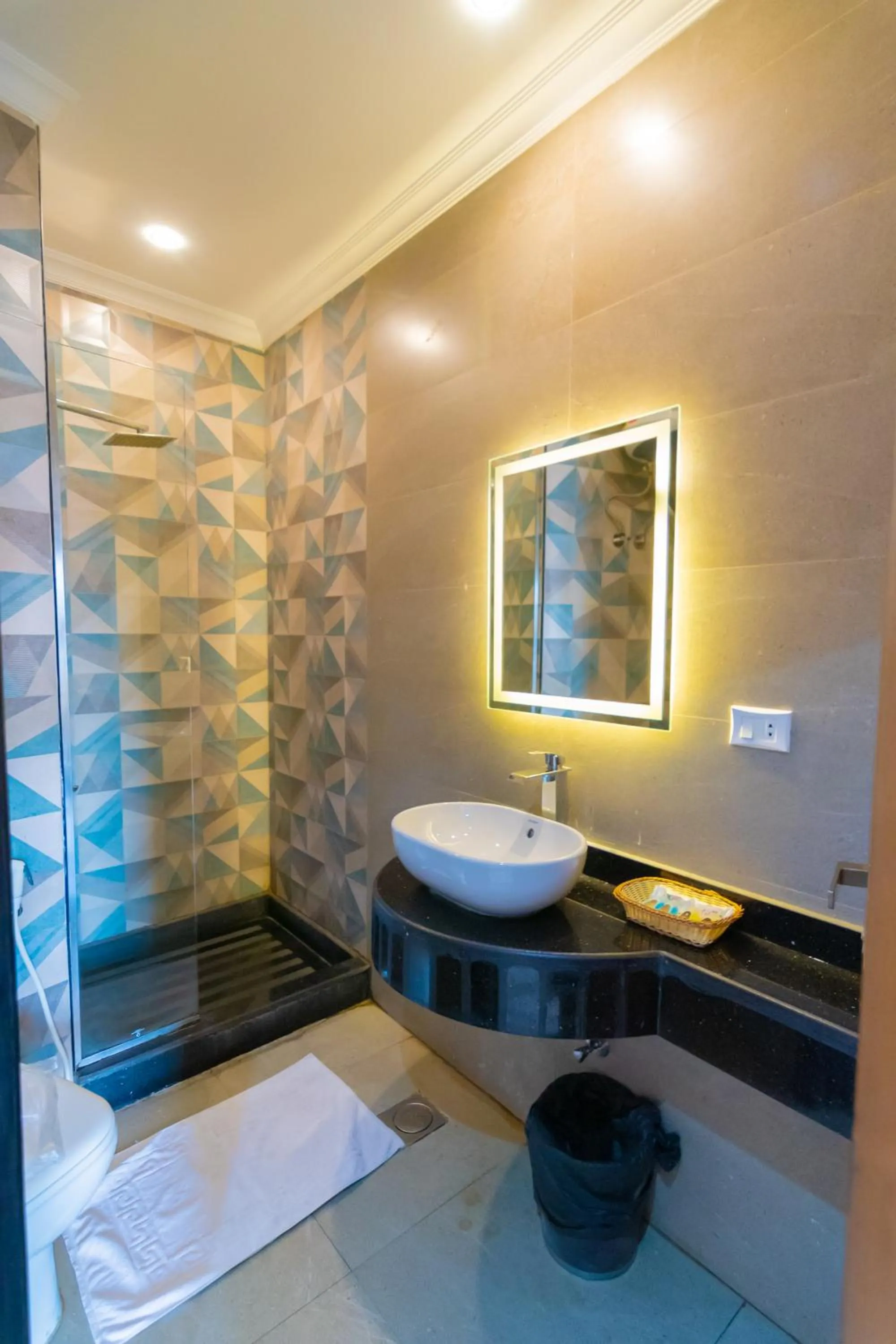 Bathroom in Museum Plaza