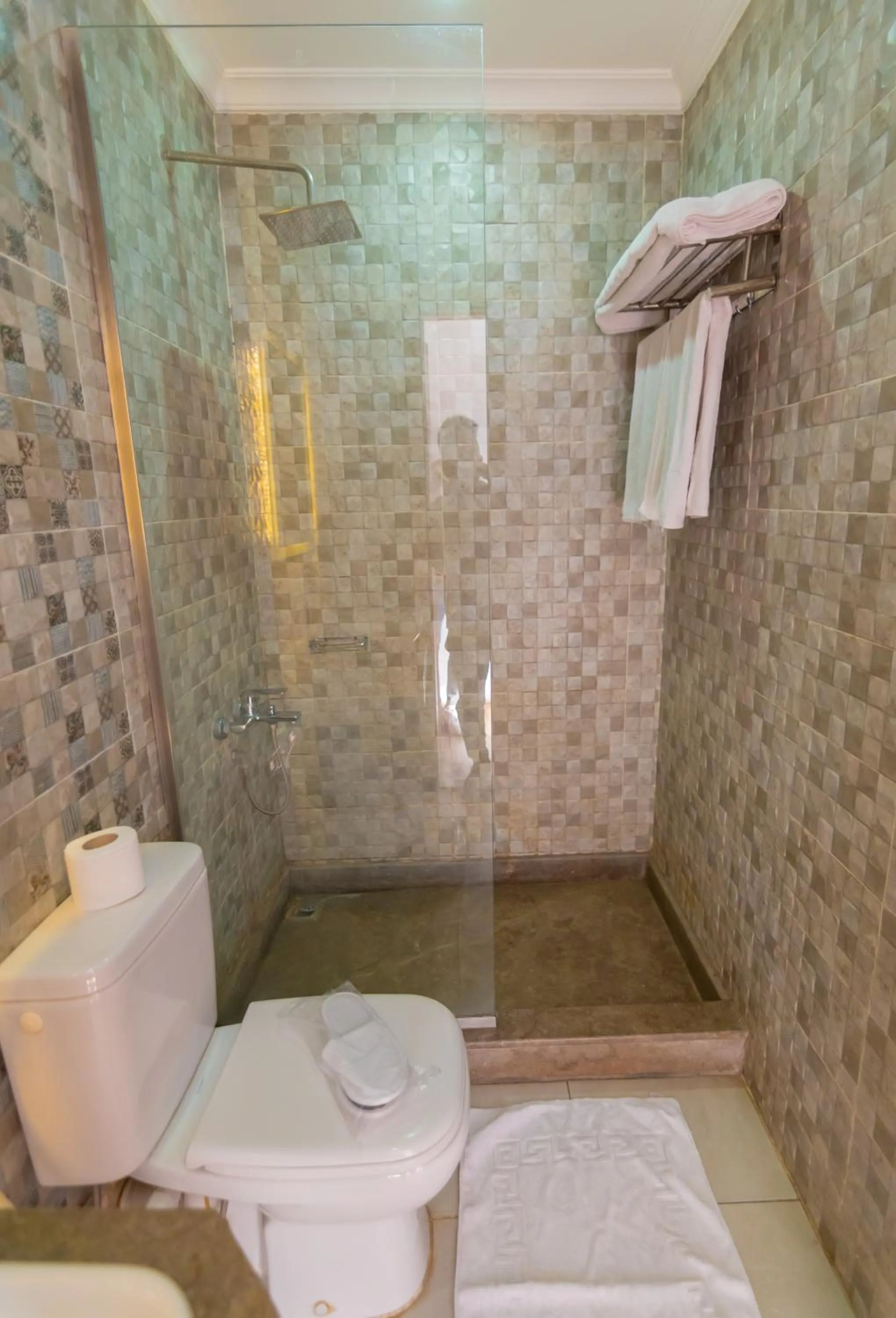 Bathroom in Museum Plaza