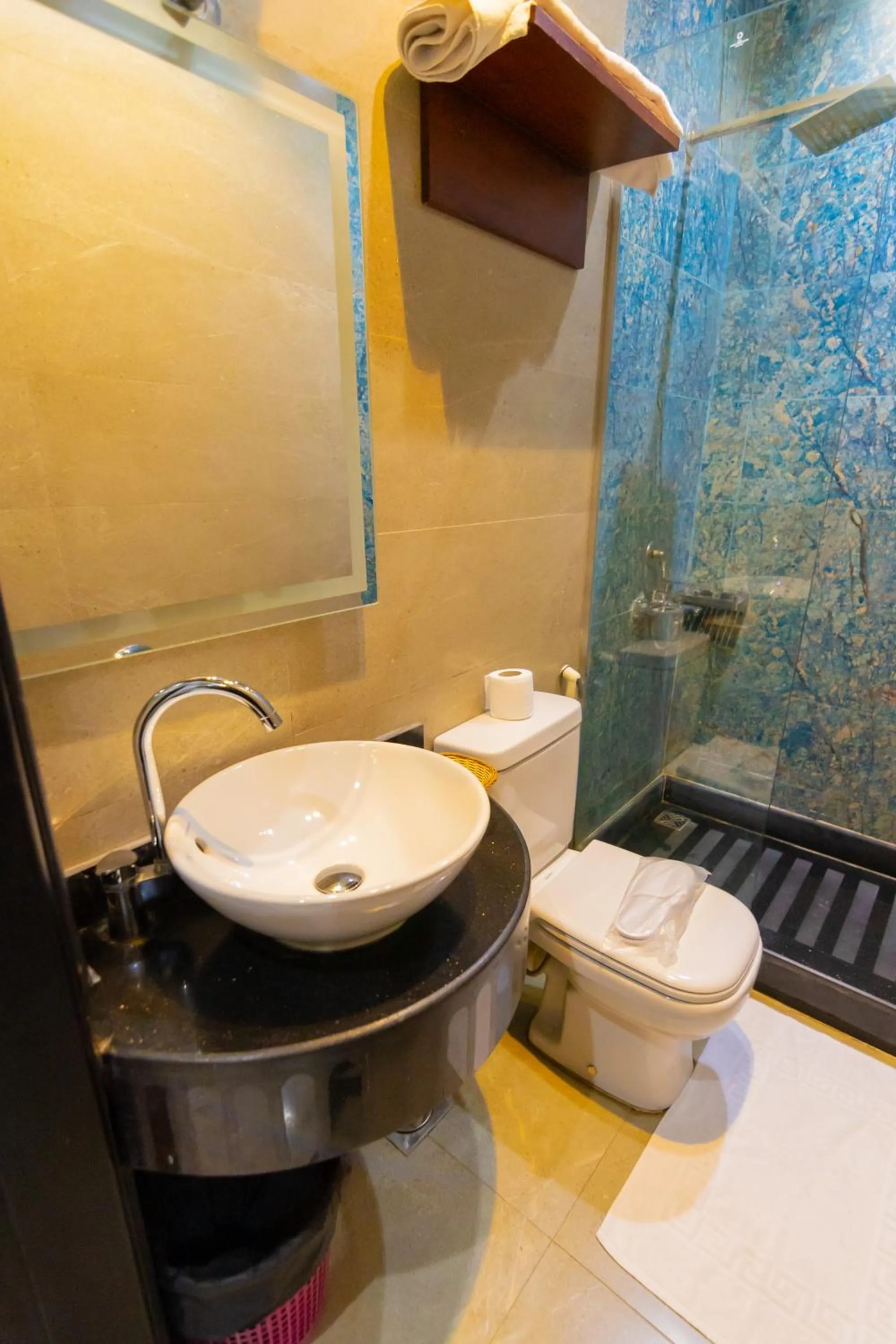 Bathroom in Museum Plaza