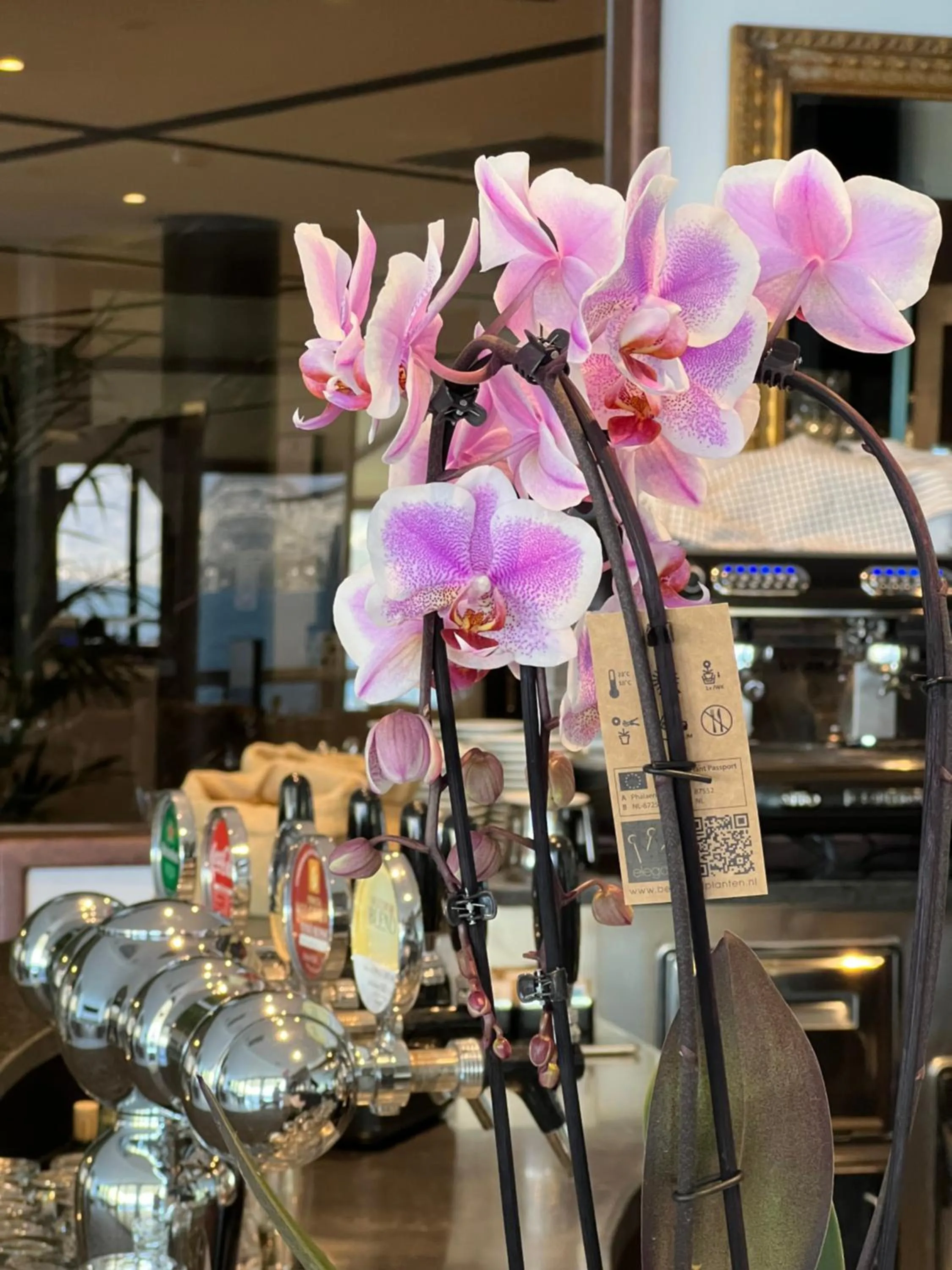 Lounge or bar in Wind Hotel