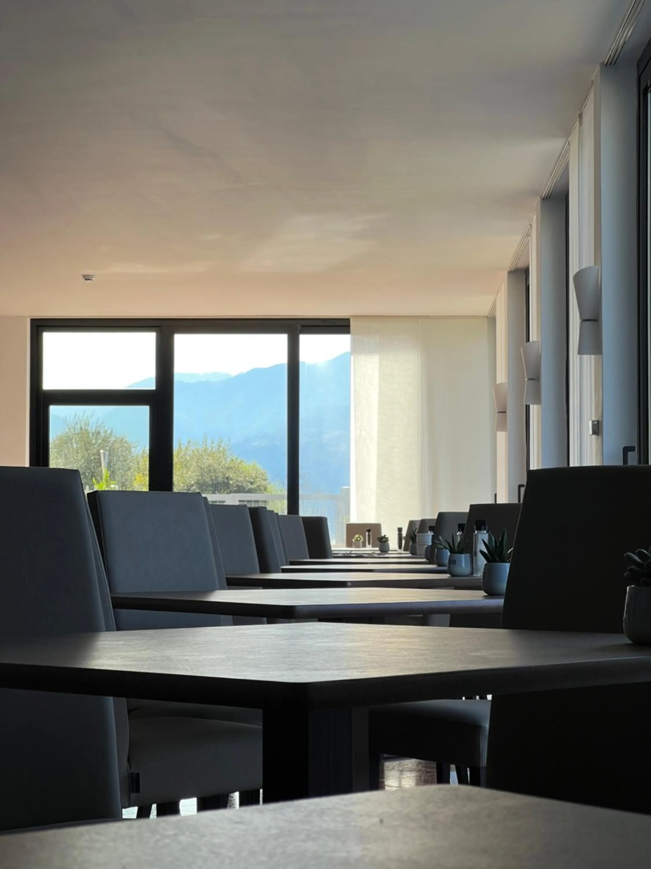 Restaurant/places to eat in Wind Hotel