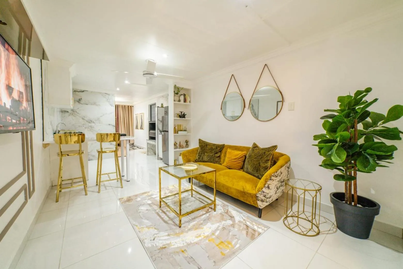 Homes of Ace Executive