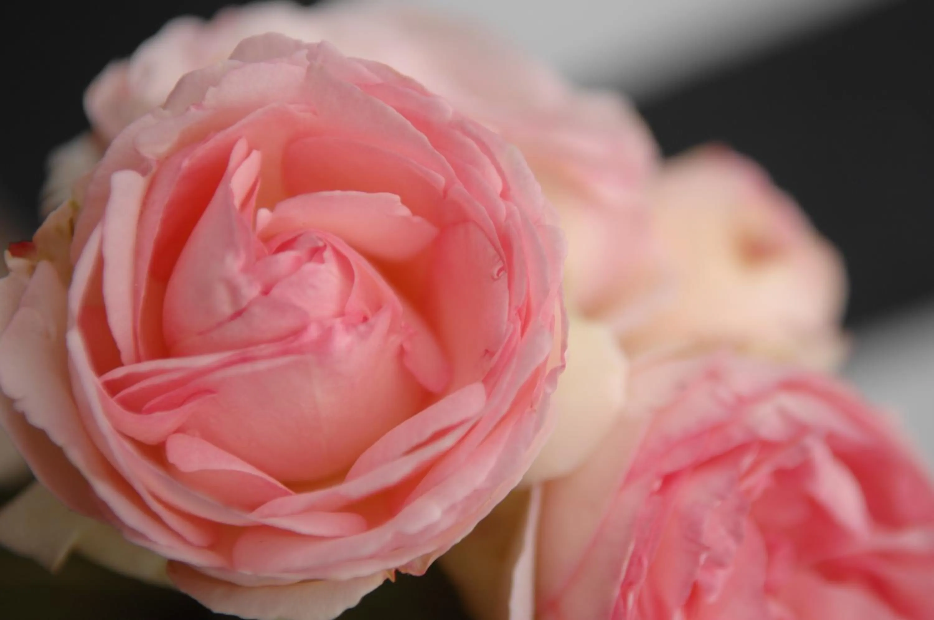 Other in Romantik Hotel Zum Rosenhof