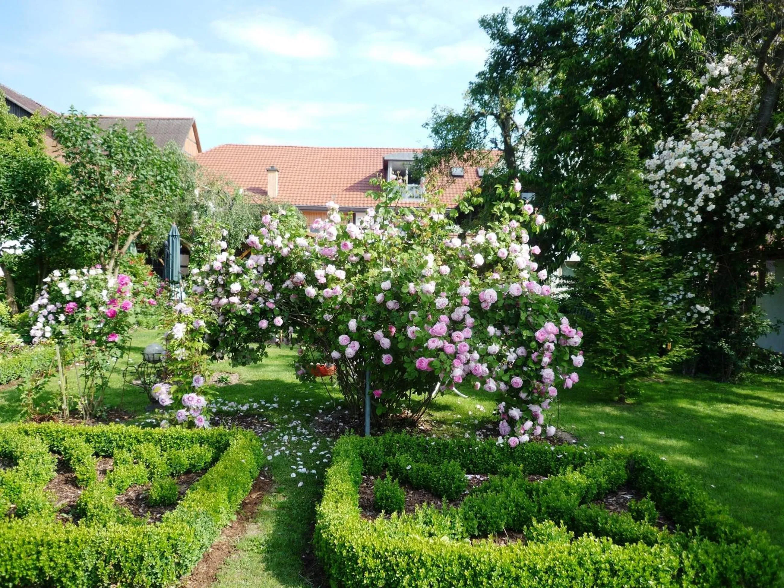 Garden in Romantik Hotel Zum Rosenhof