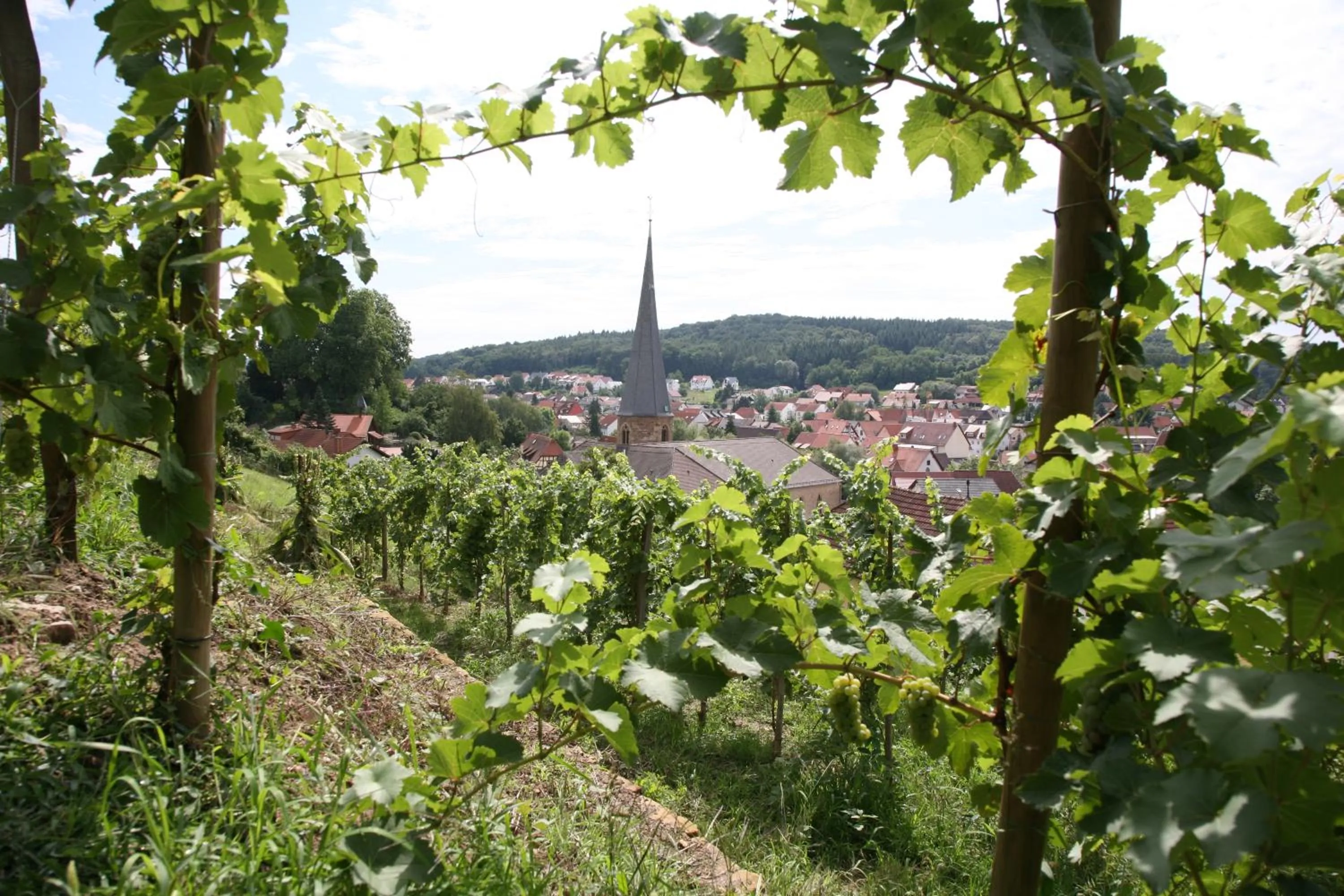 Day in Hotel Leo Mühlhausen