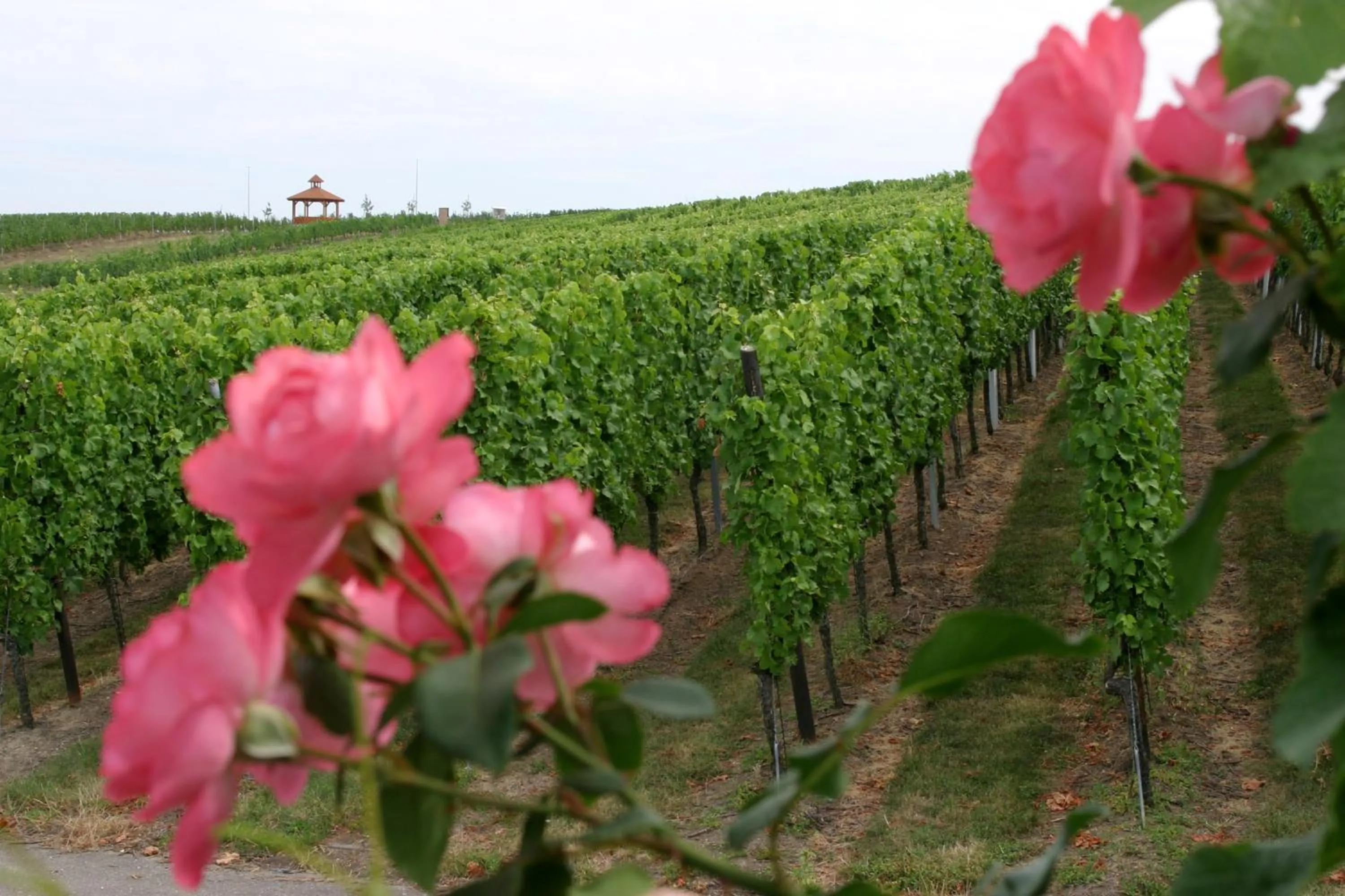 Other in Hotel Leo Mühlhausen