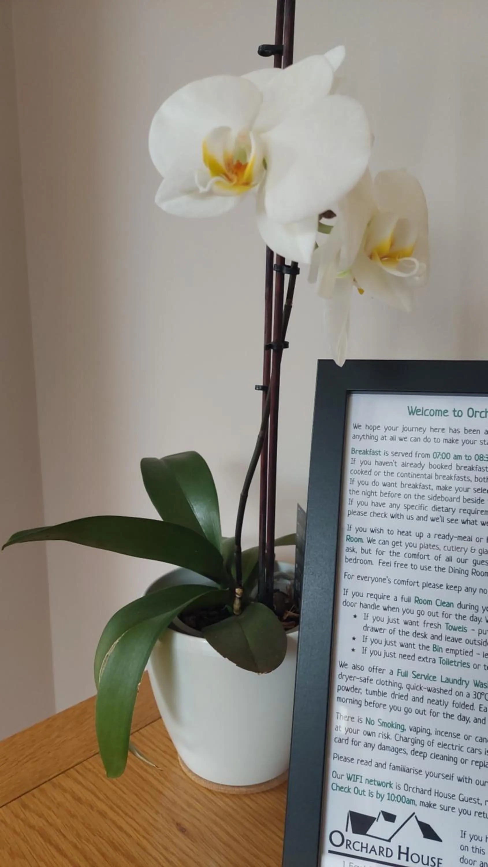 Orchard House Bed and Breakfast