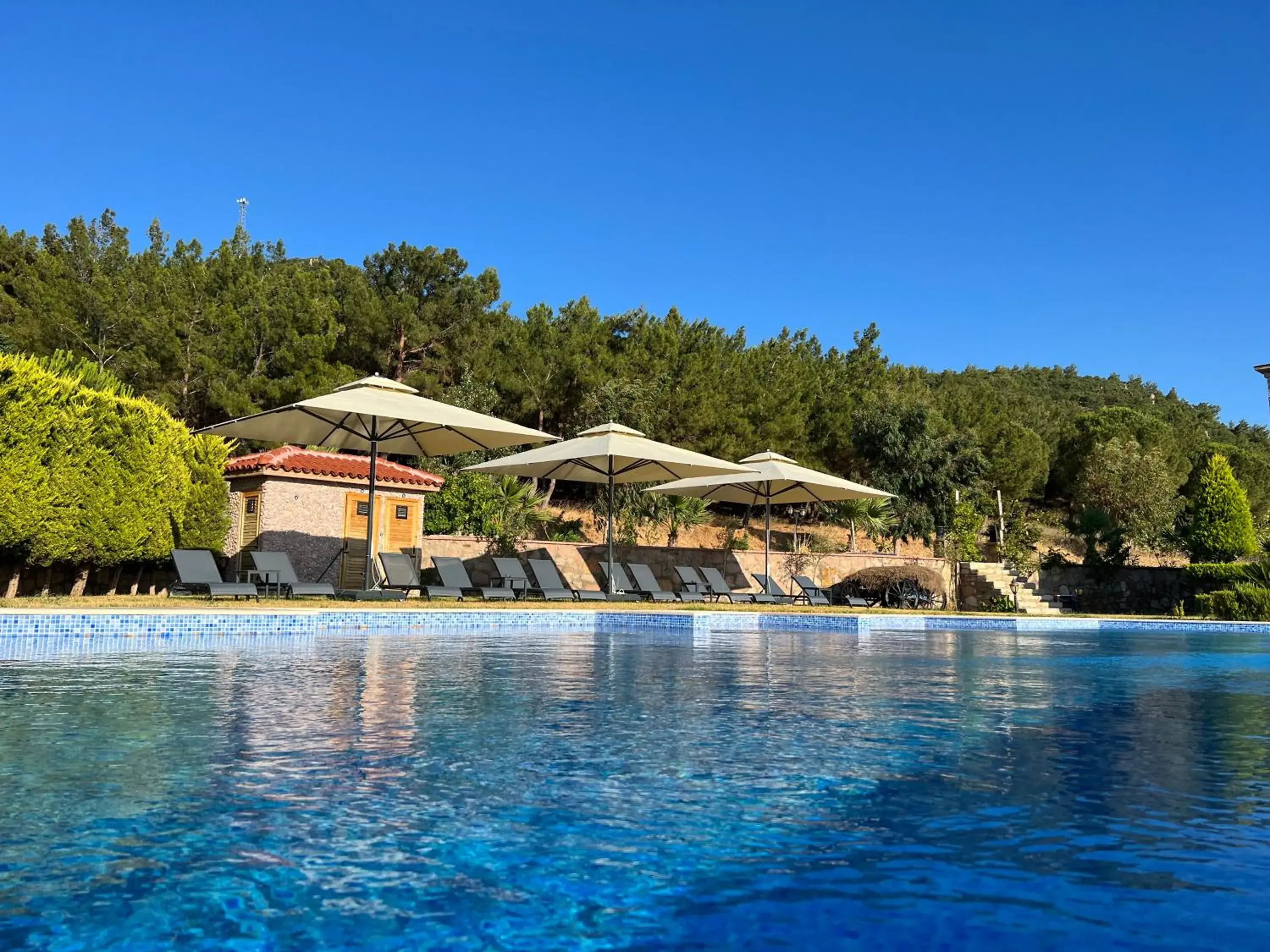 Swimming pool in Marlo Ayvalık 12 Plus Adult Only Swimming pool in Marlo Ayvalık 12 Plus Adult Only