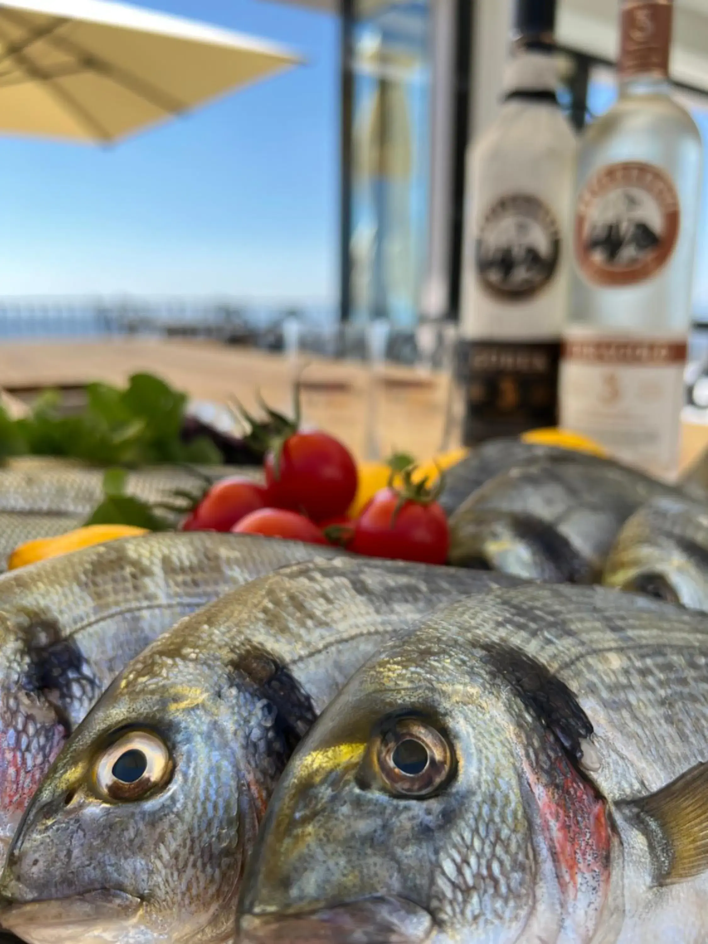 Food and drinks in Marlo Ayvalık 12 Plus Adult Only Food and drinks in Marlo Ayvalık 12 Plus Adult Only